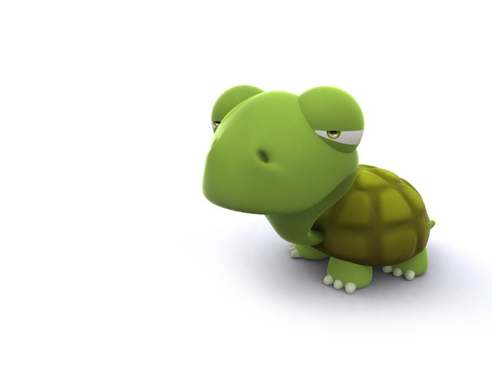 Fondo de pantalla tortuga