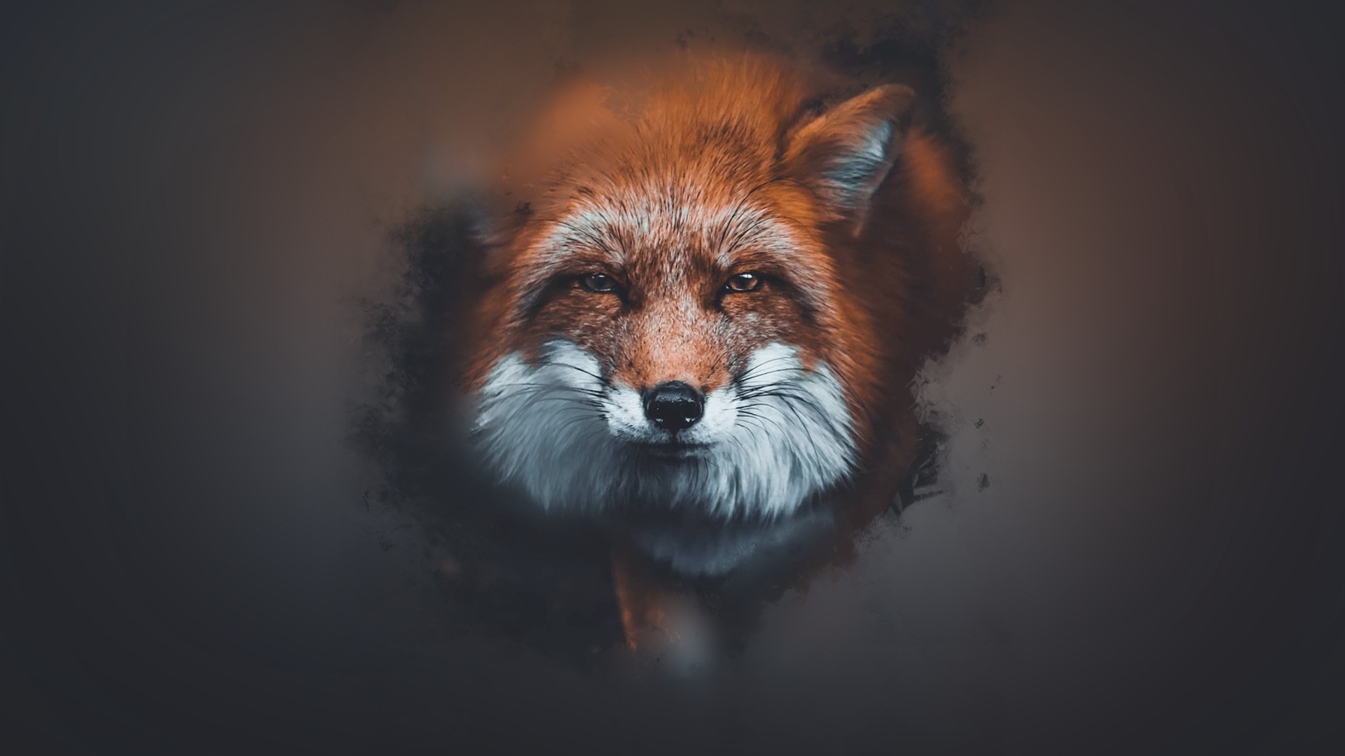 Fondo HD