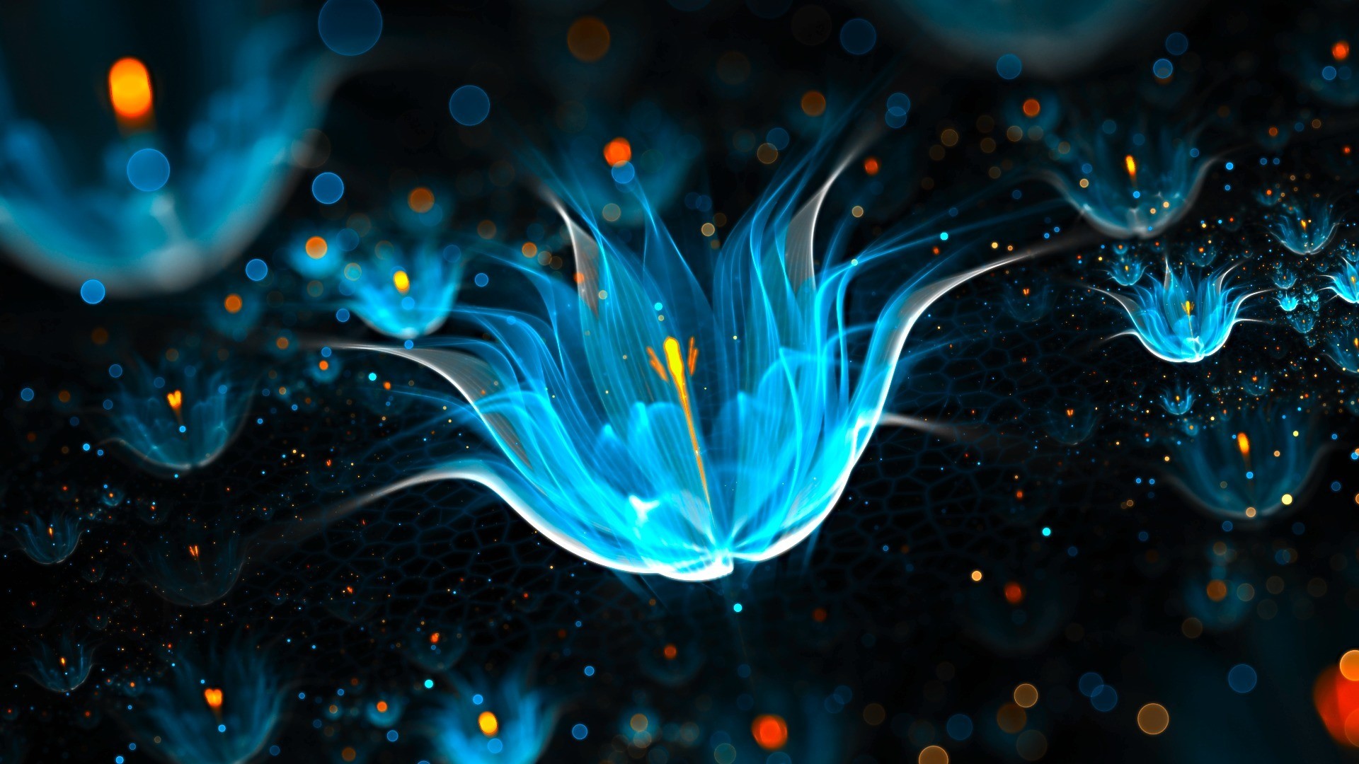 Fondo HD