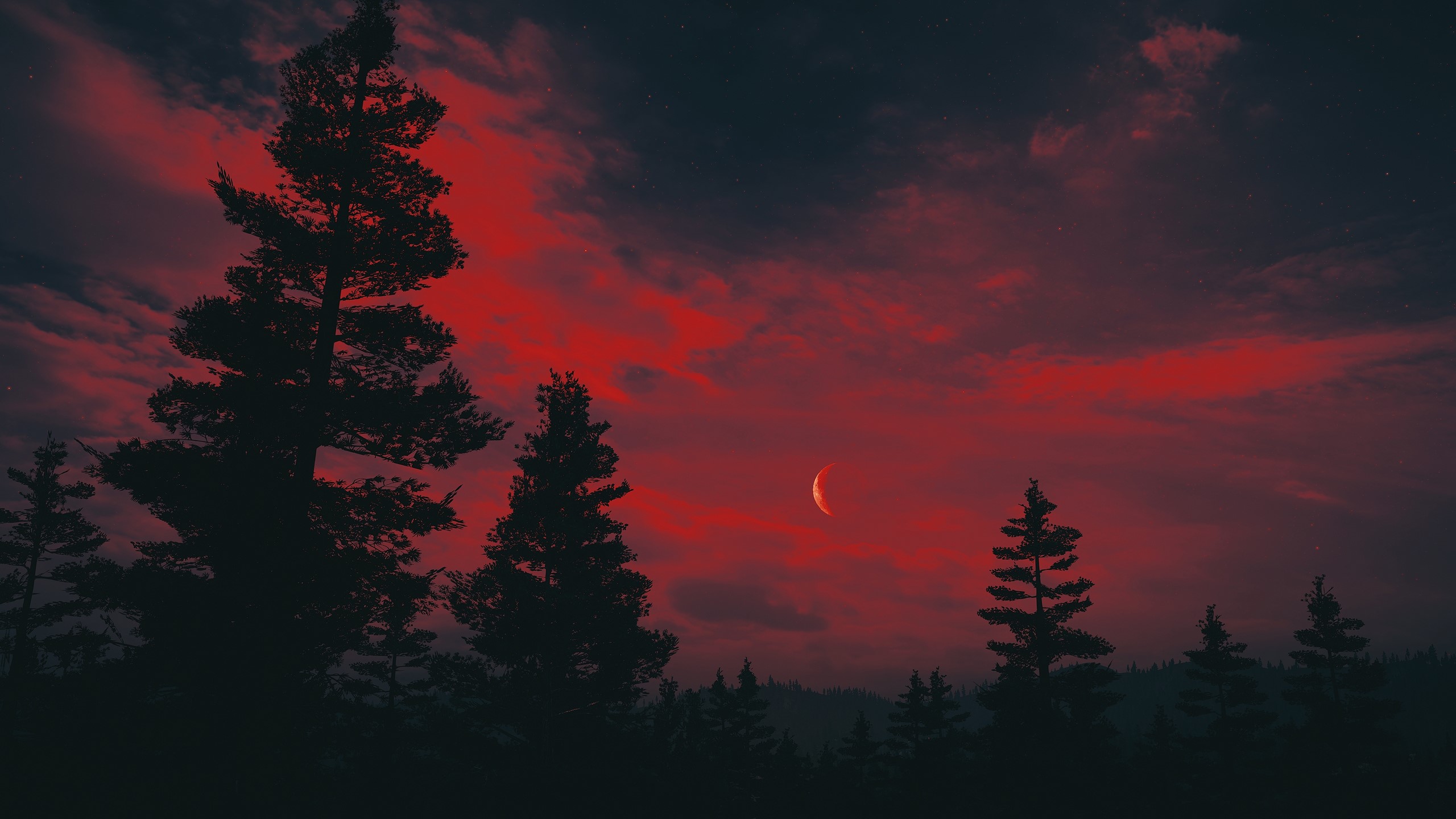 Fondo HD