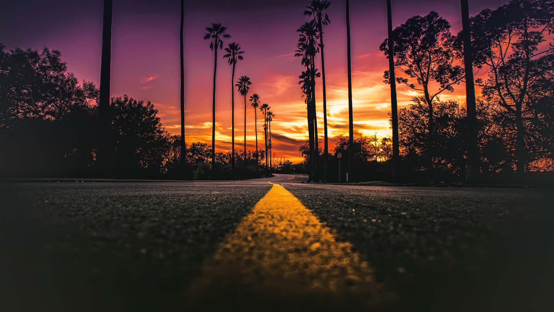 Fondo HD