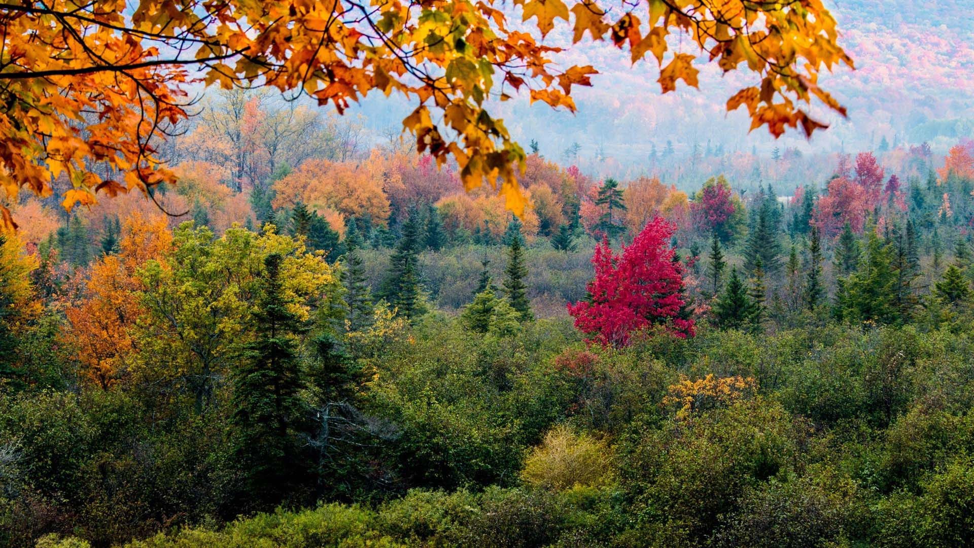 Fondo HD