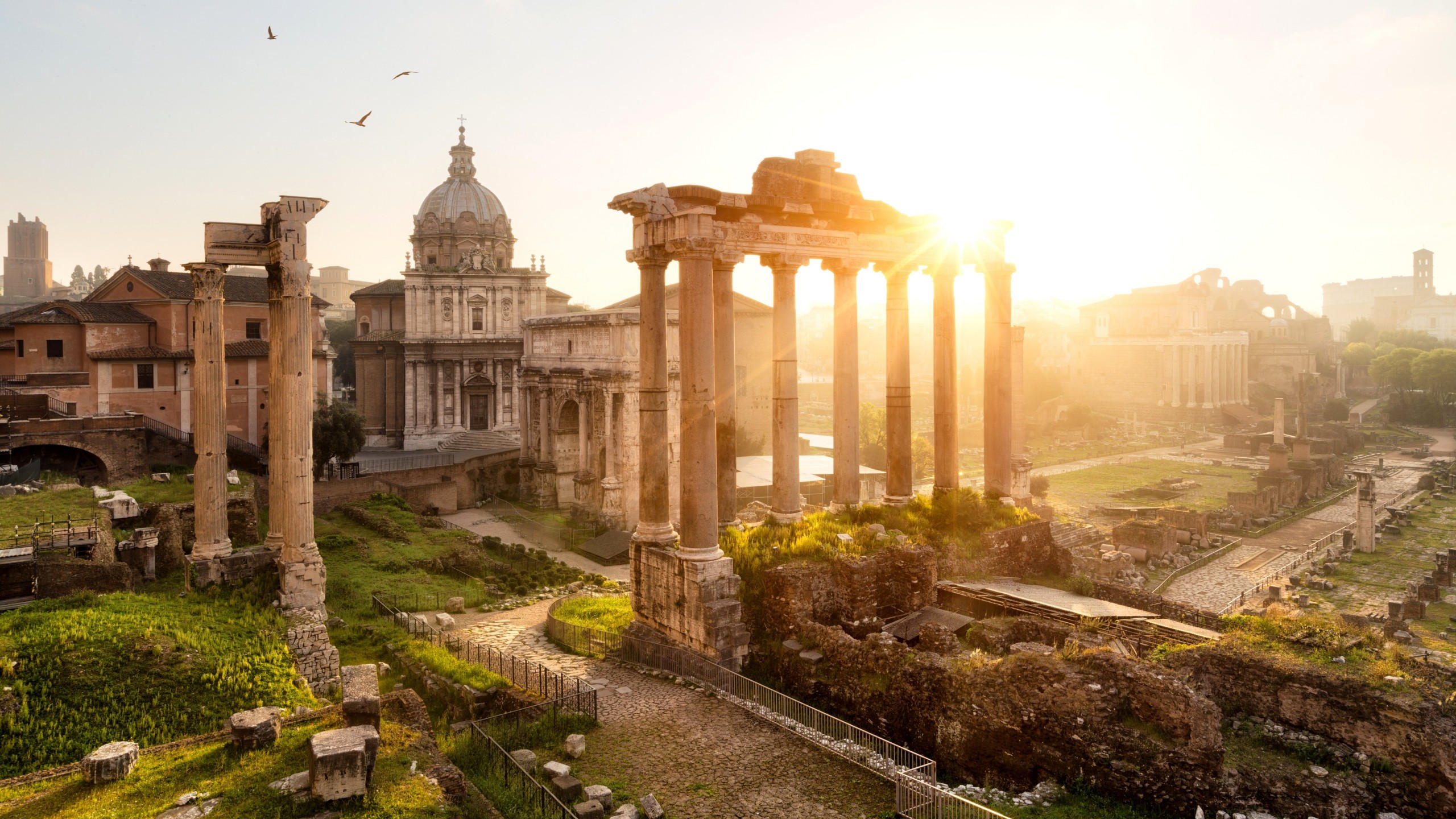 Forum romanum 2560x1440 rome italy templum saturni arco di settimio