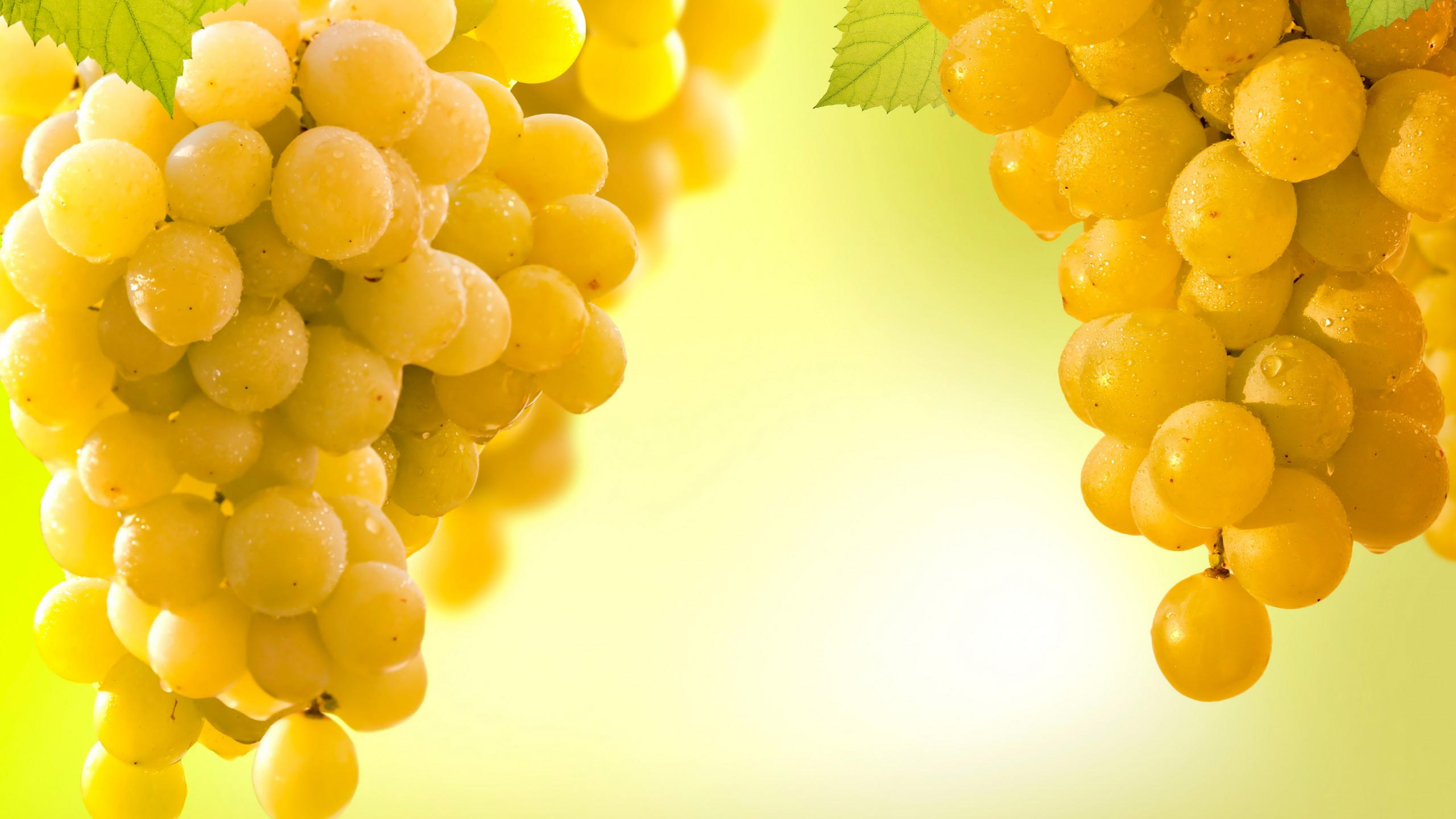 Grapes 2560x1440 5k