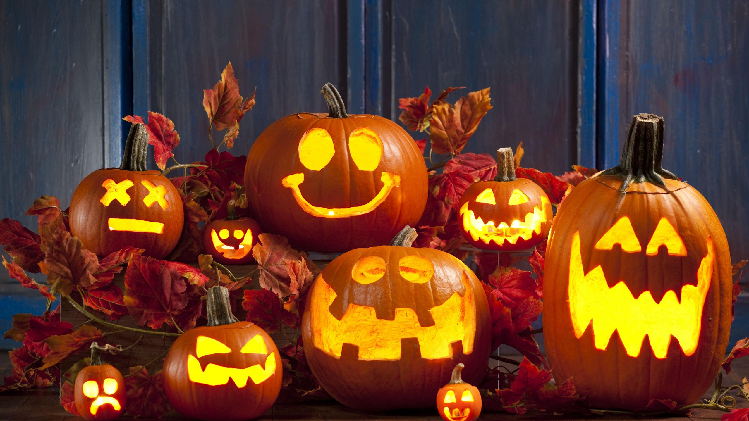 Halloween 2560x1440 pumpkin 4k