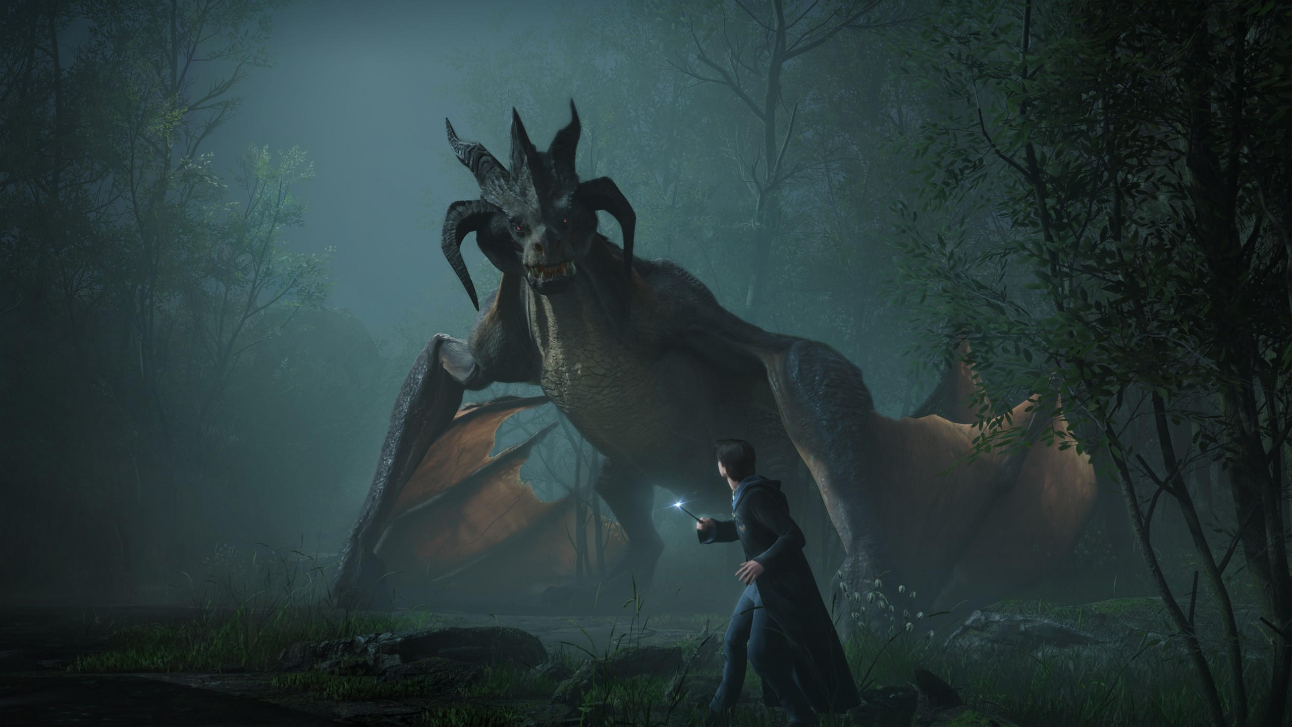 Hogwarts legacy 2560x1440 screenshot 4k