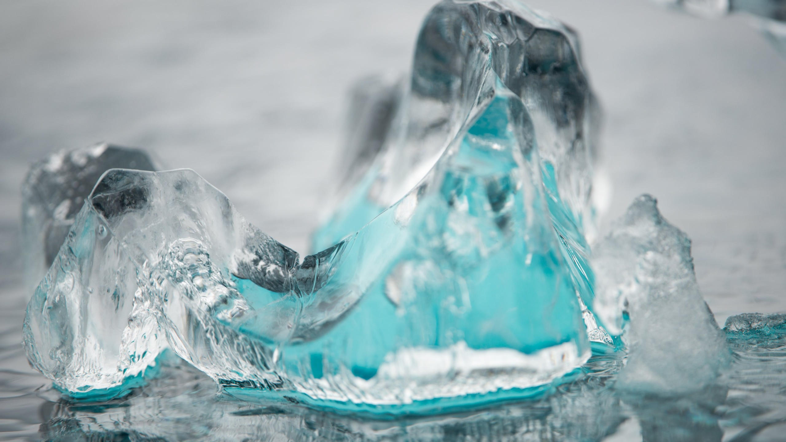 Ice 2560x1440 5k 4k wallpaper macro water