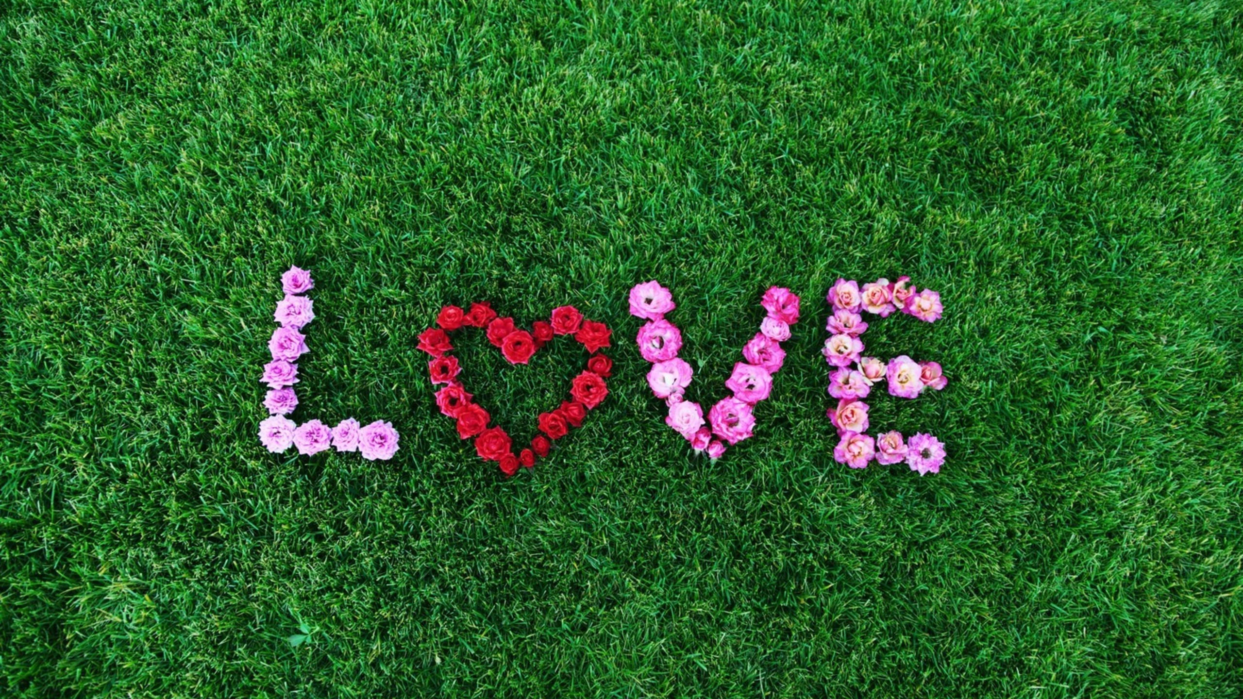 Love image 2560x1440 heart 4k