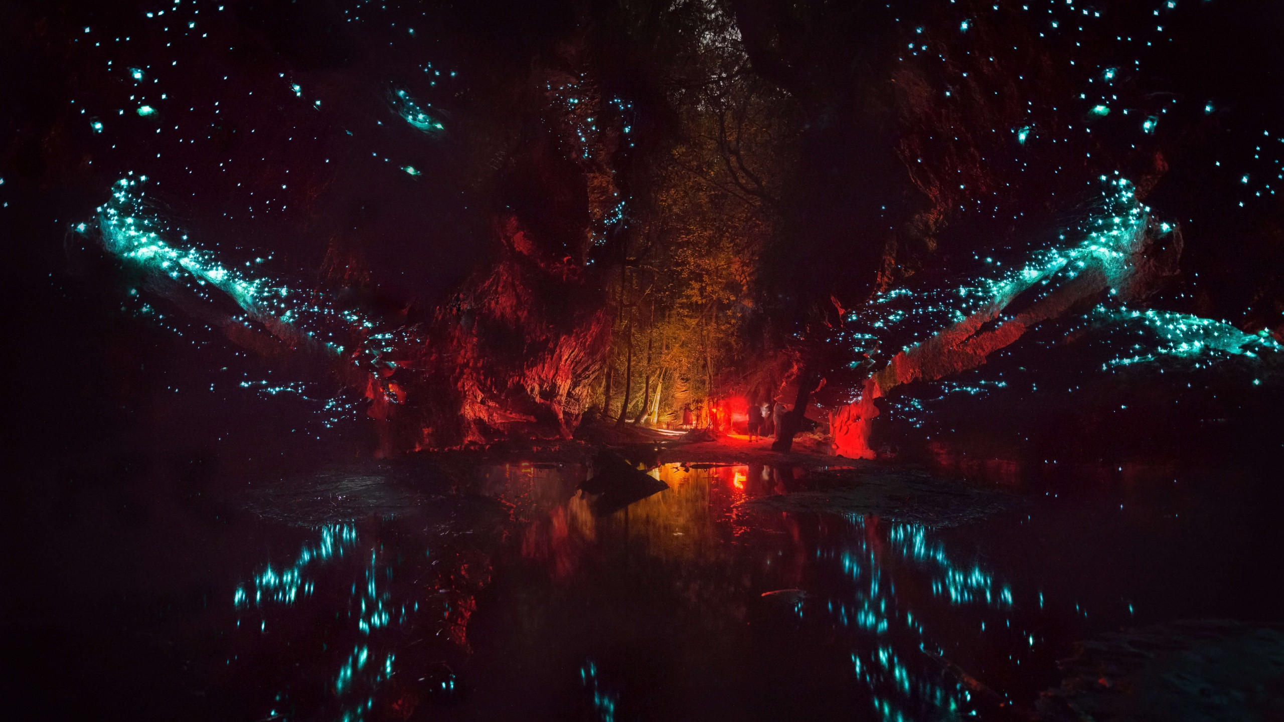 Night 2560x1440 forest dark river 8k