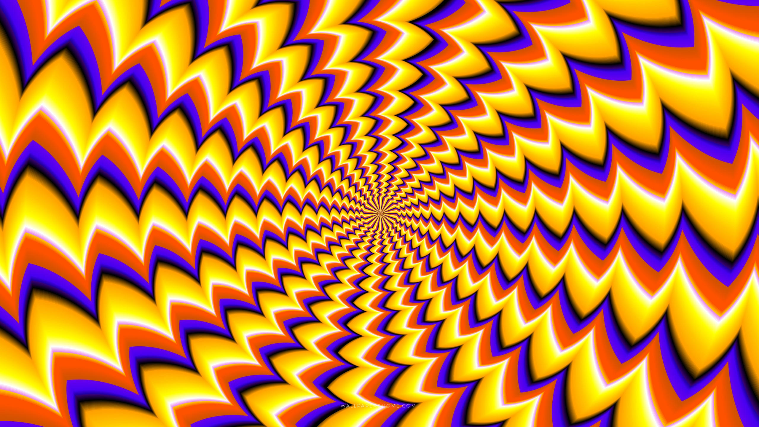 Optical illusion 2560x1440 8k