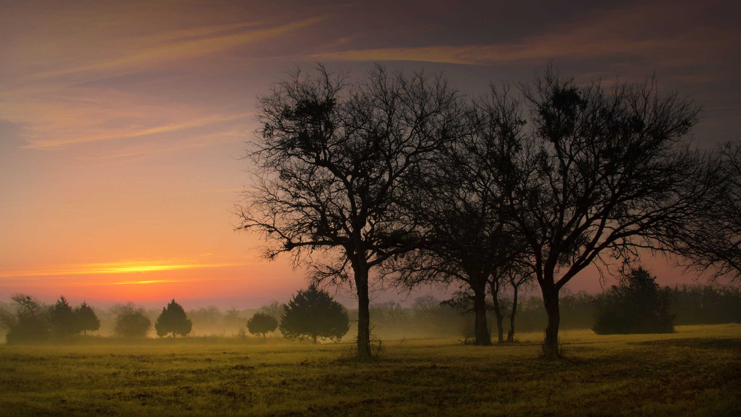 Paisaje con Tres Arboles