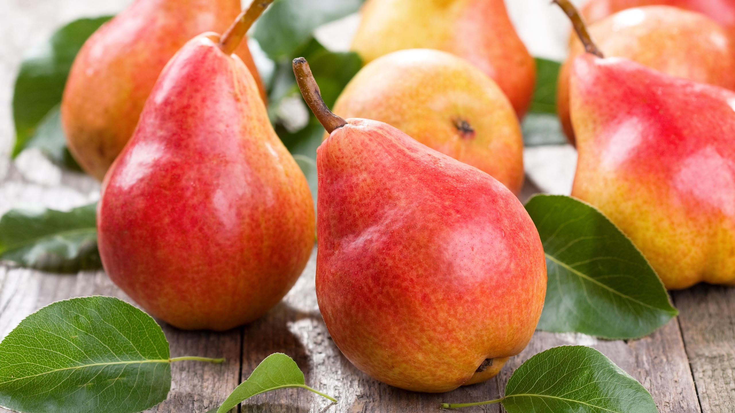 Pear 2560x1440 fruit 4k