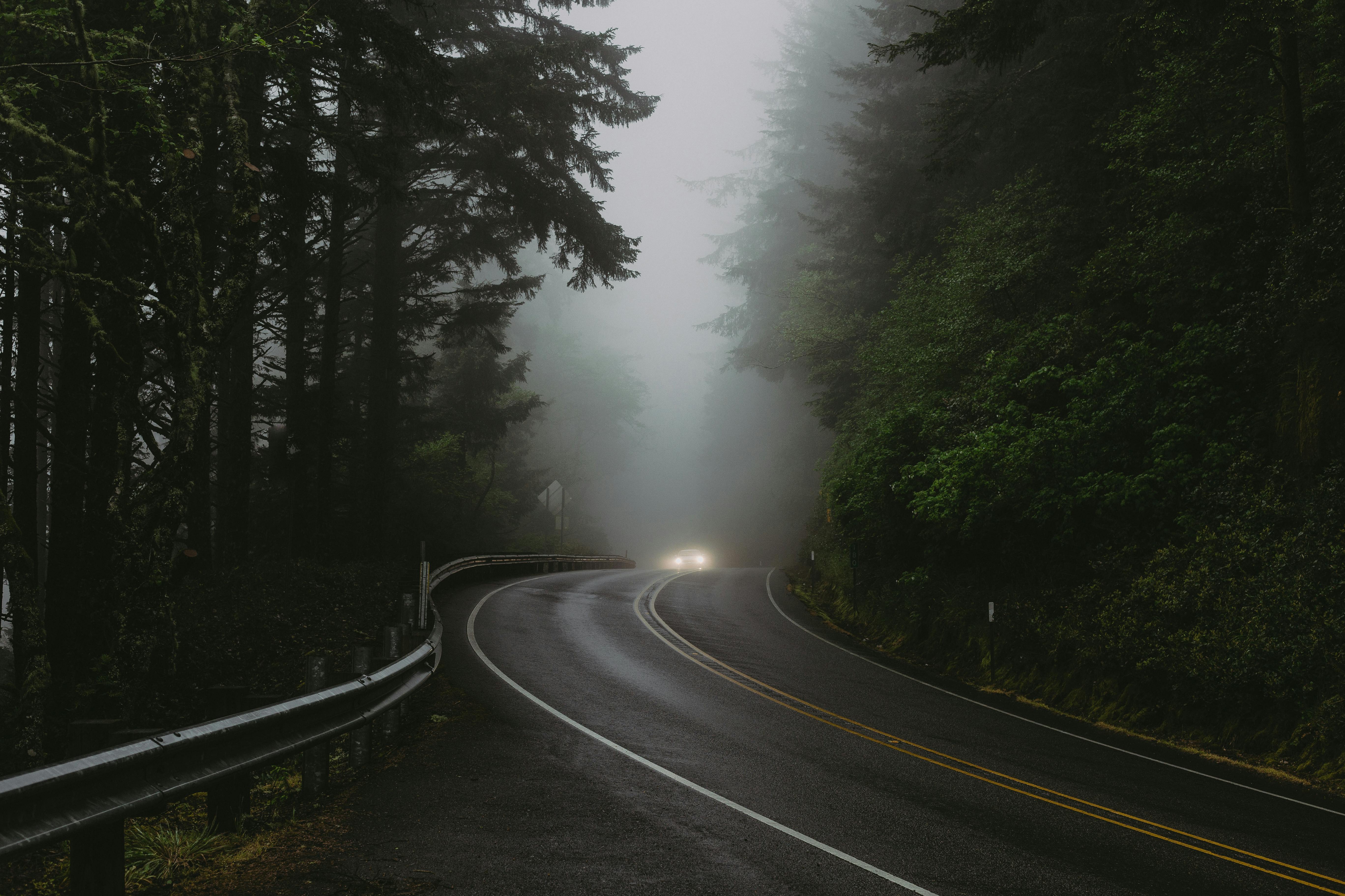 Fondo de Pantalla de pexels_12190795.jpg