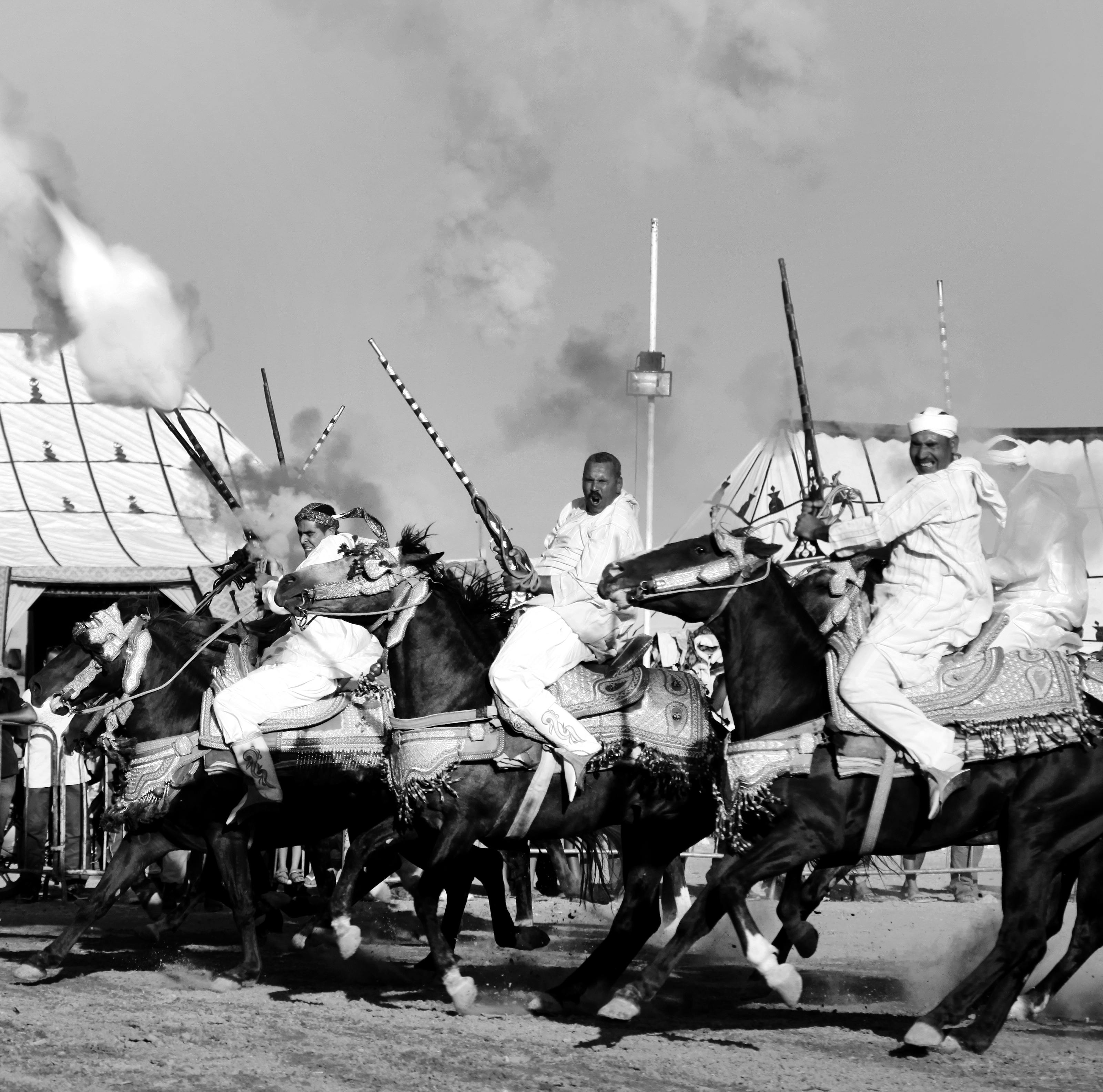 Imagen de Caballo, Brida, Aparejos para caballos