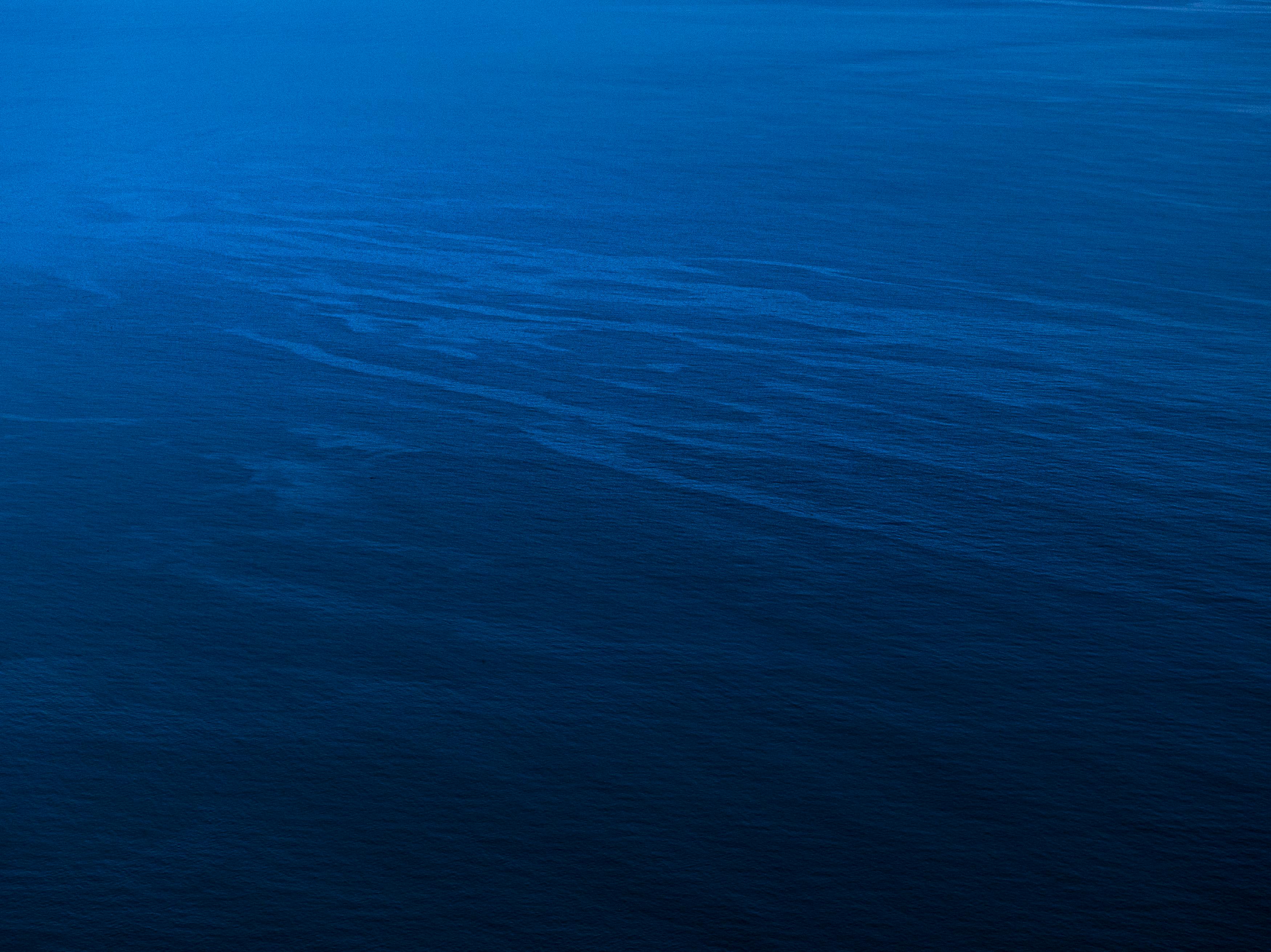 Fondo de Pantalla de pexels_20485057.jpg