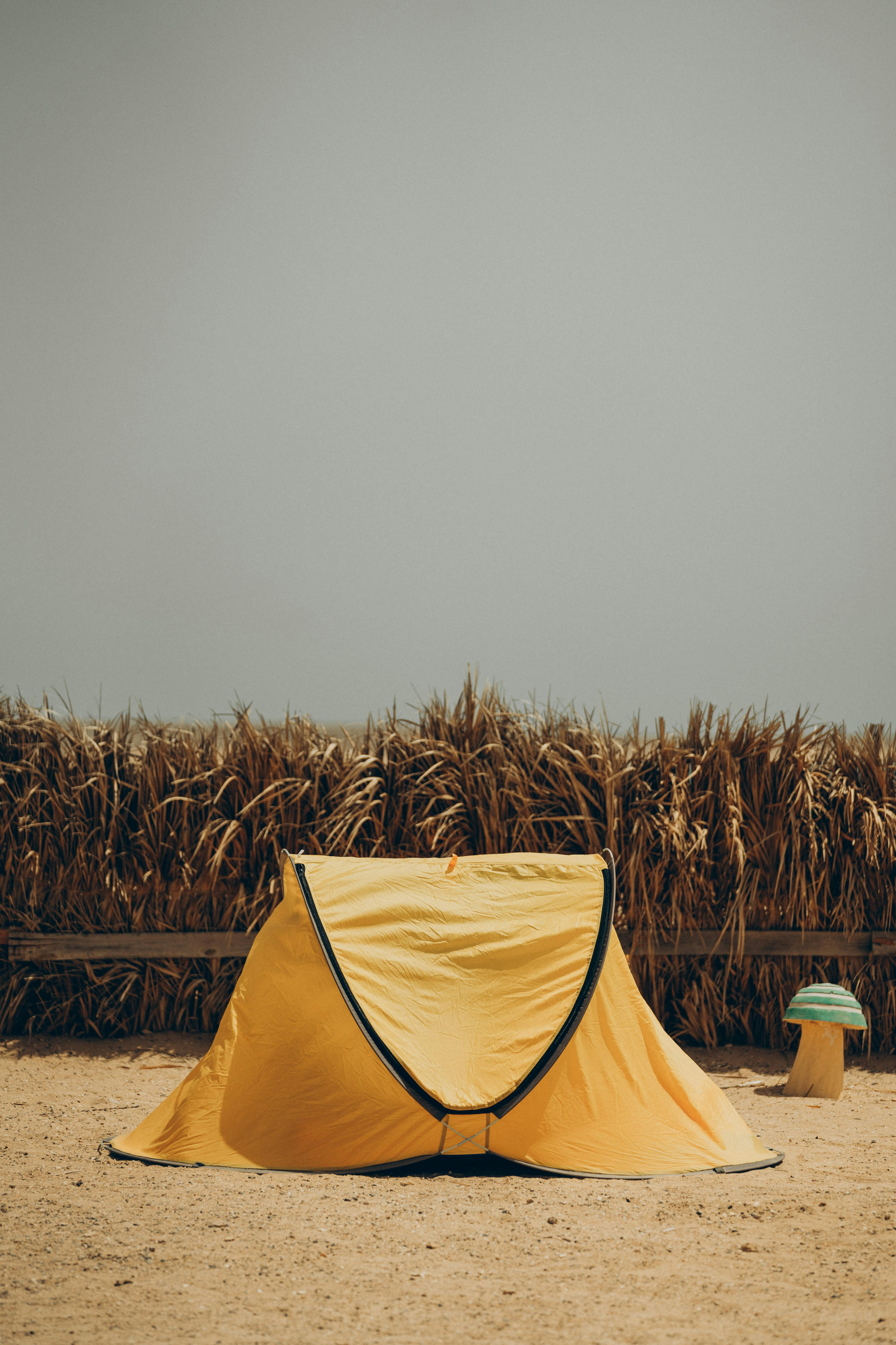Fondo de Pantalla de pexels_27528405.jpg