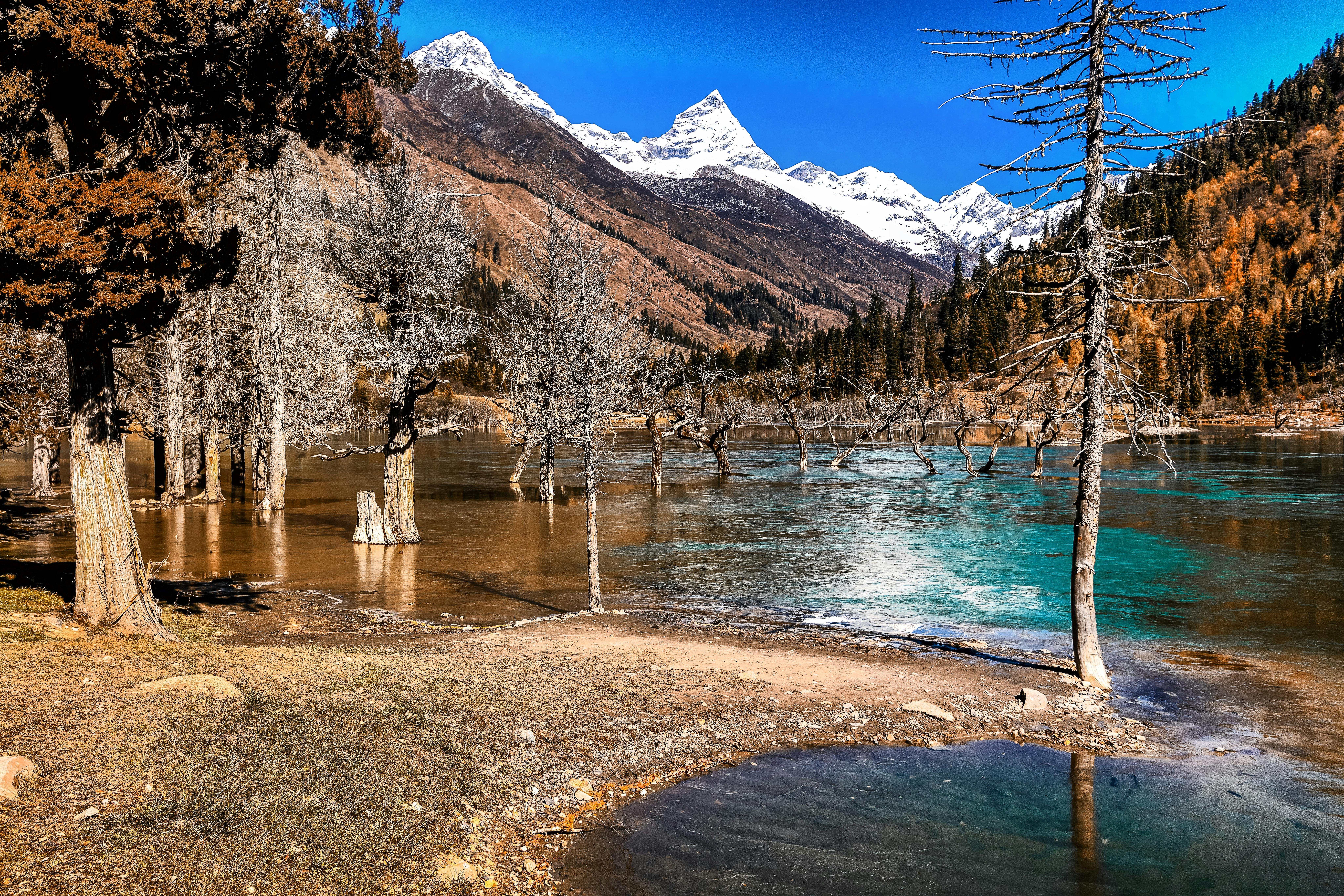 Fondo de Pantalla de pexels_2883508.jpg