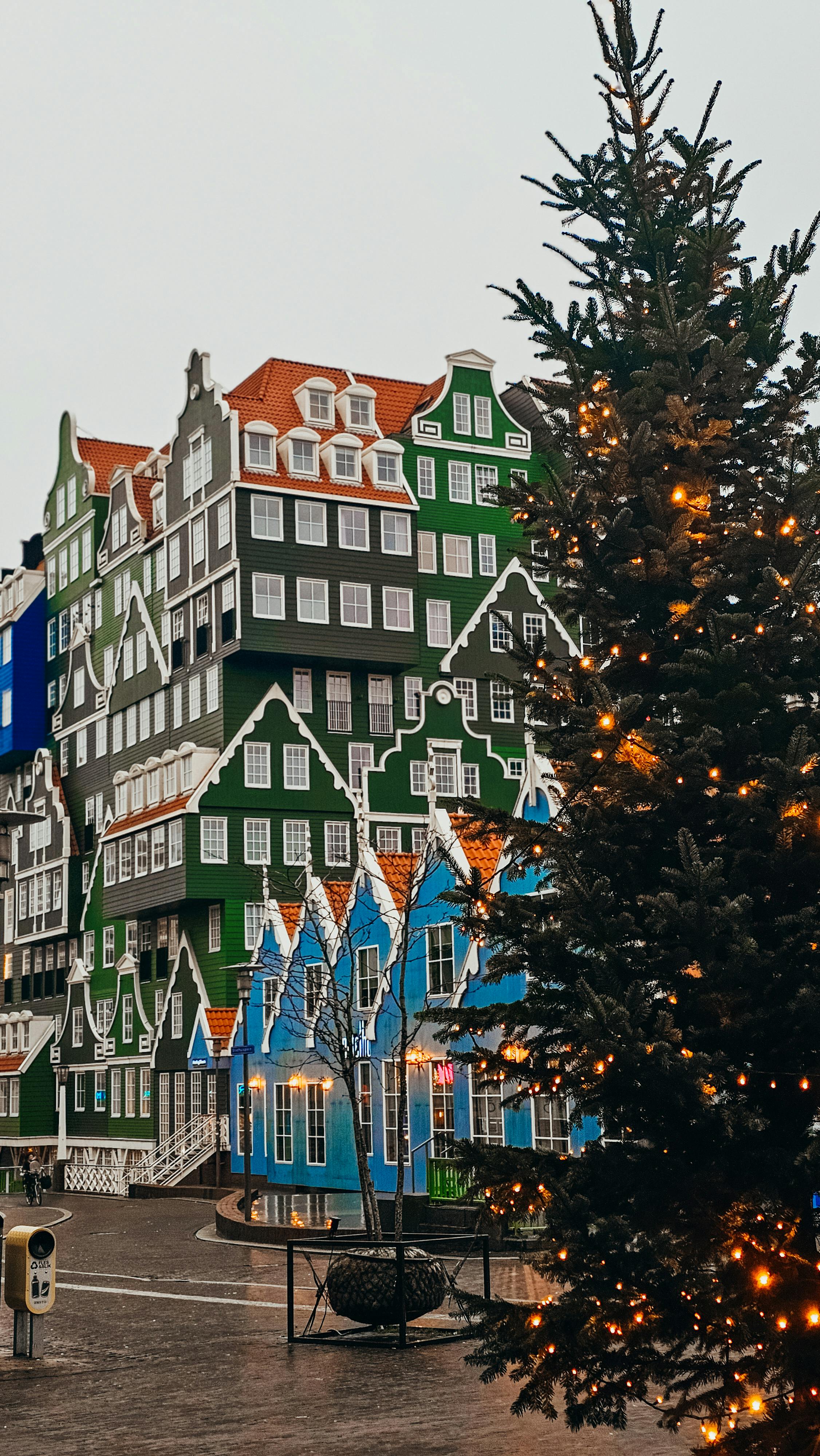 Fondo de Pantalla de pexels_30528839.jpg