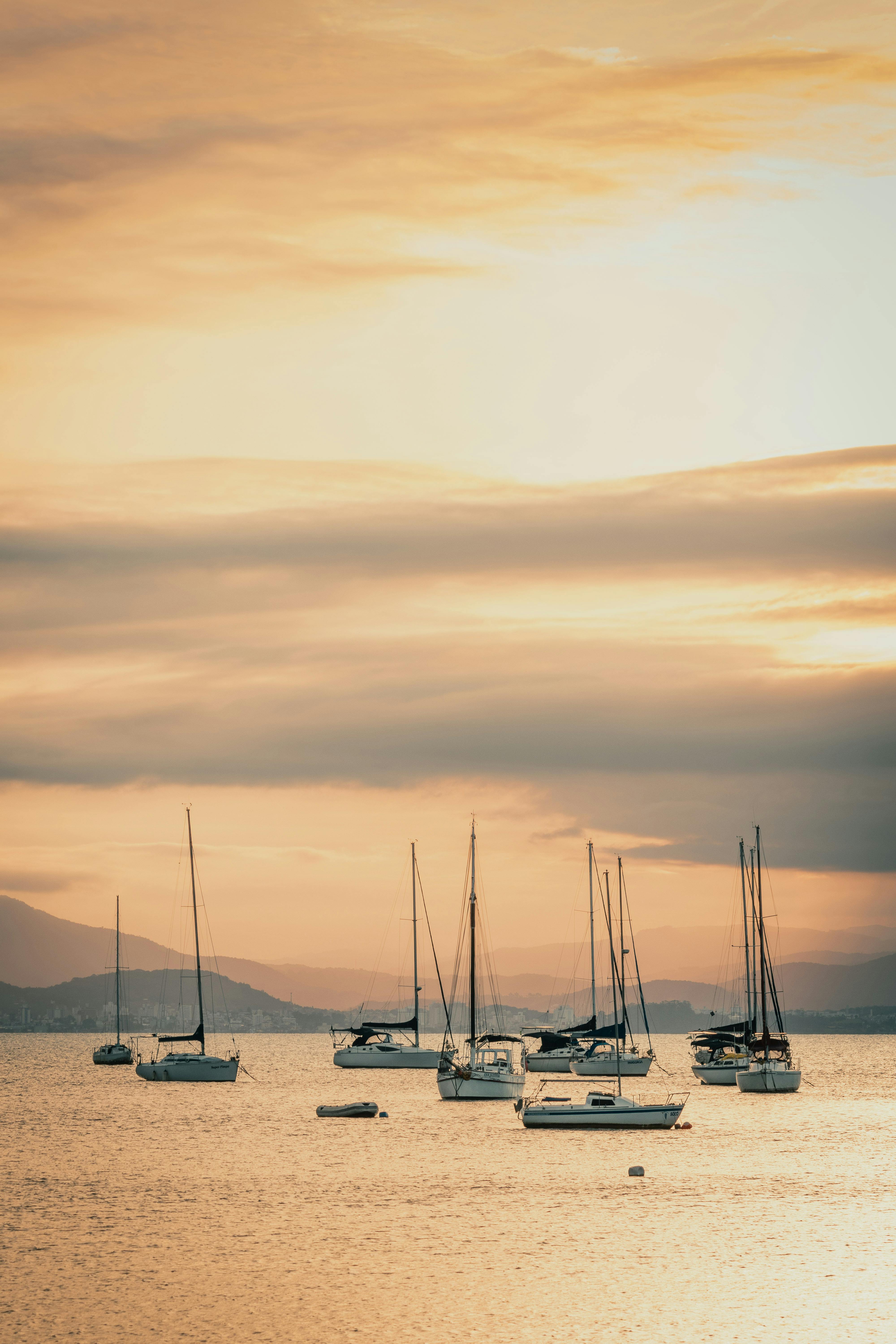 Fondo de Pantalla de pexels_3590685.jpg