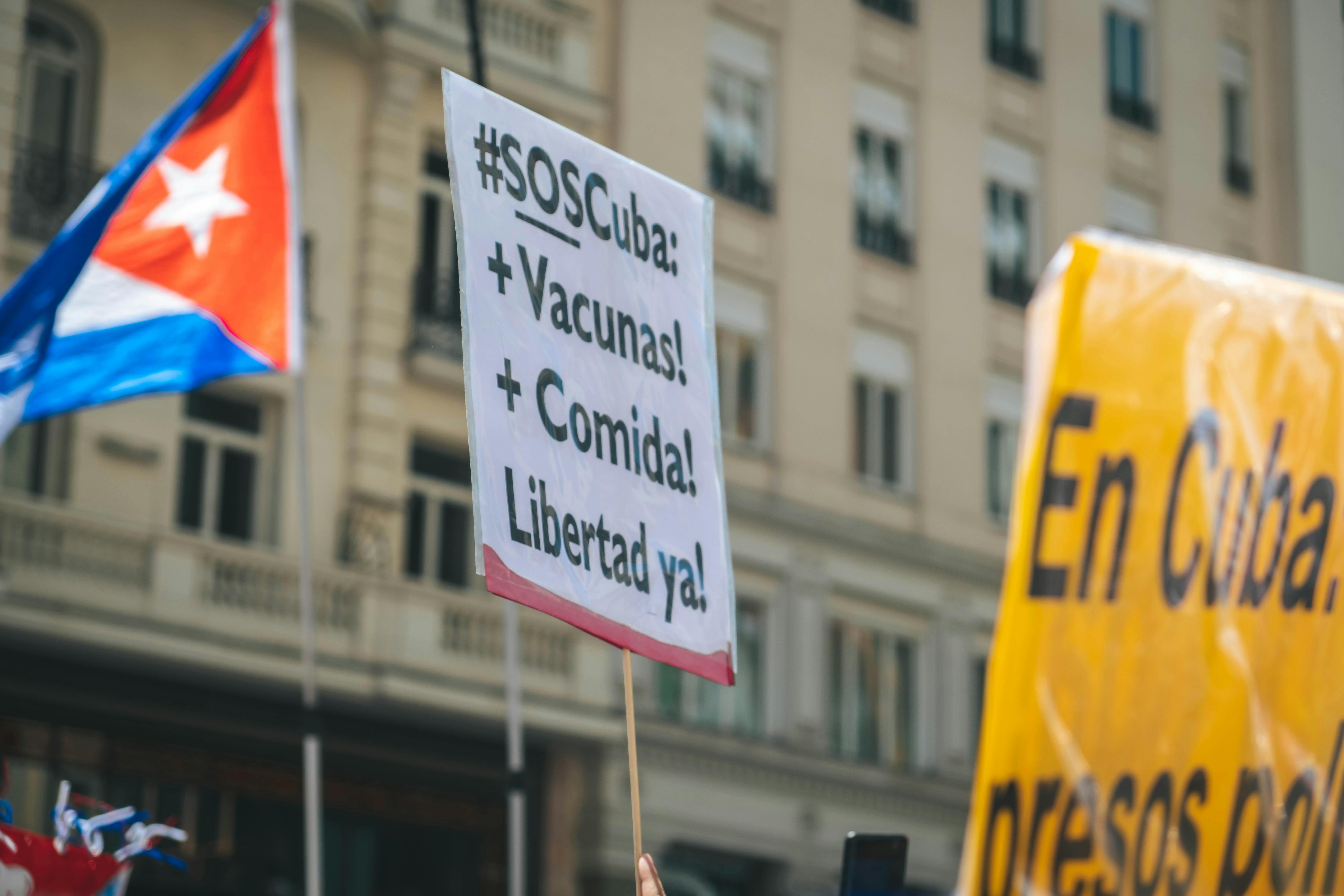 Fondo de Pantalla de pexels_8909578.jpg