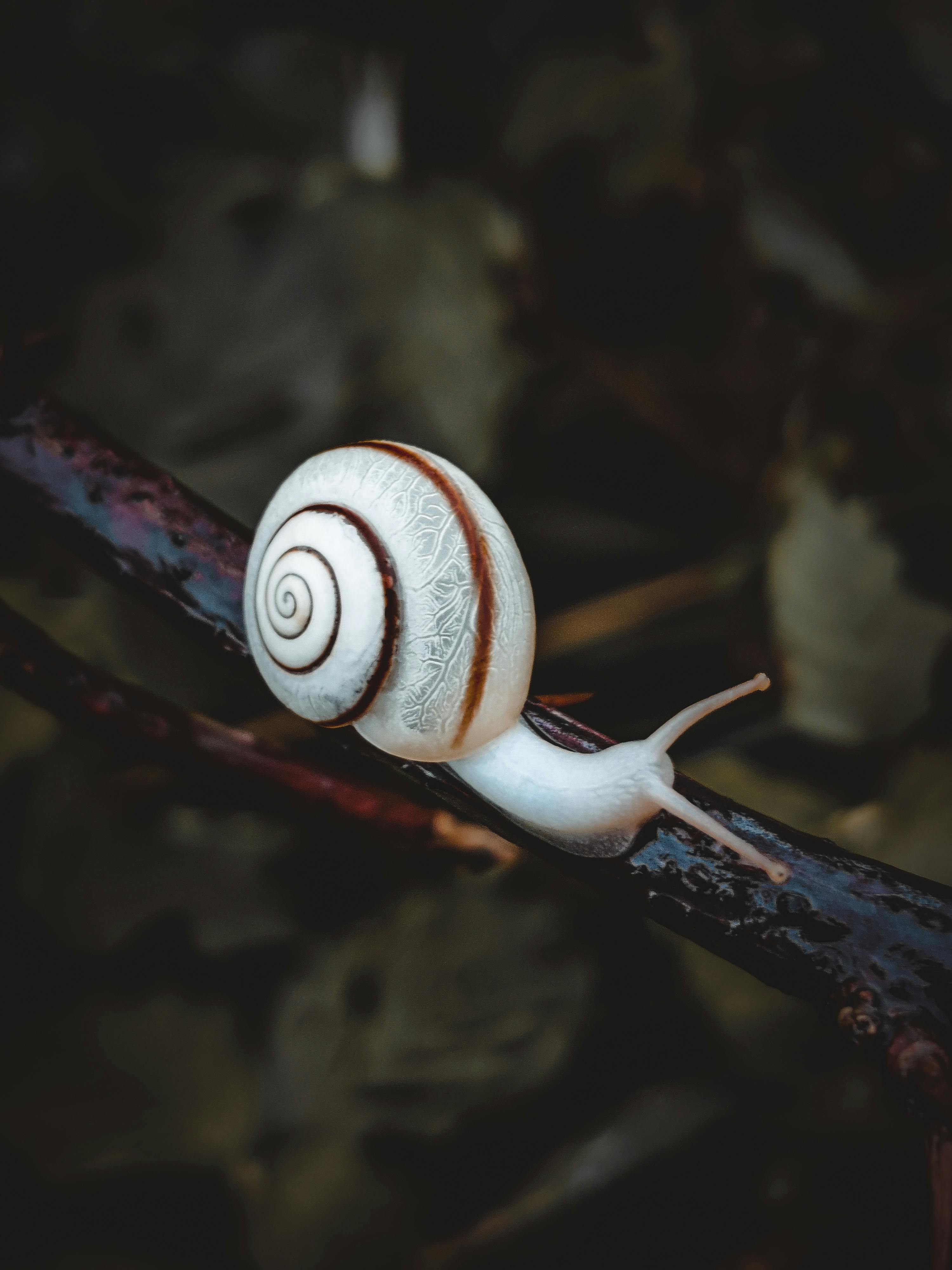 Fondo de Pantalla de pexels_9304993.jpg