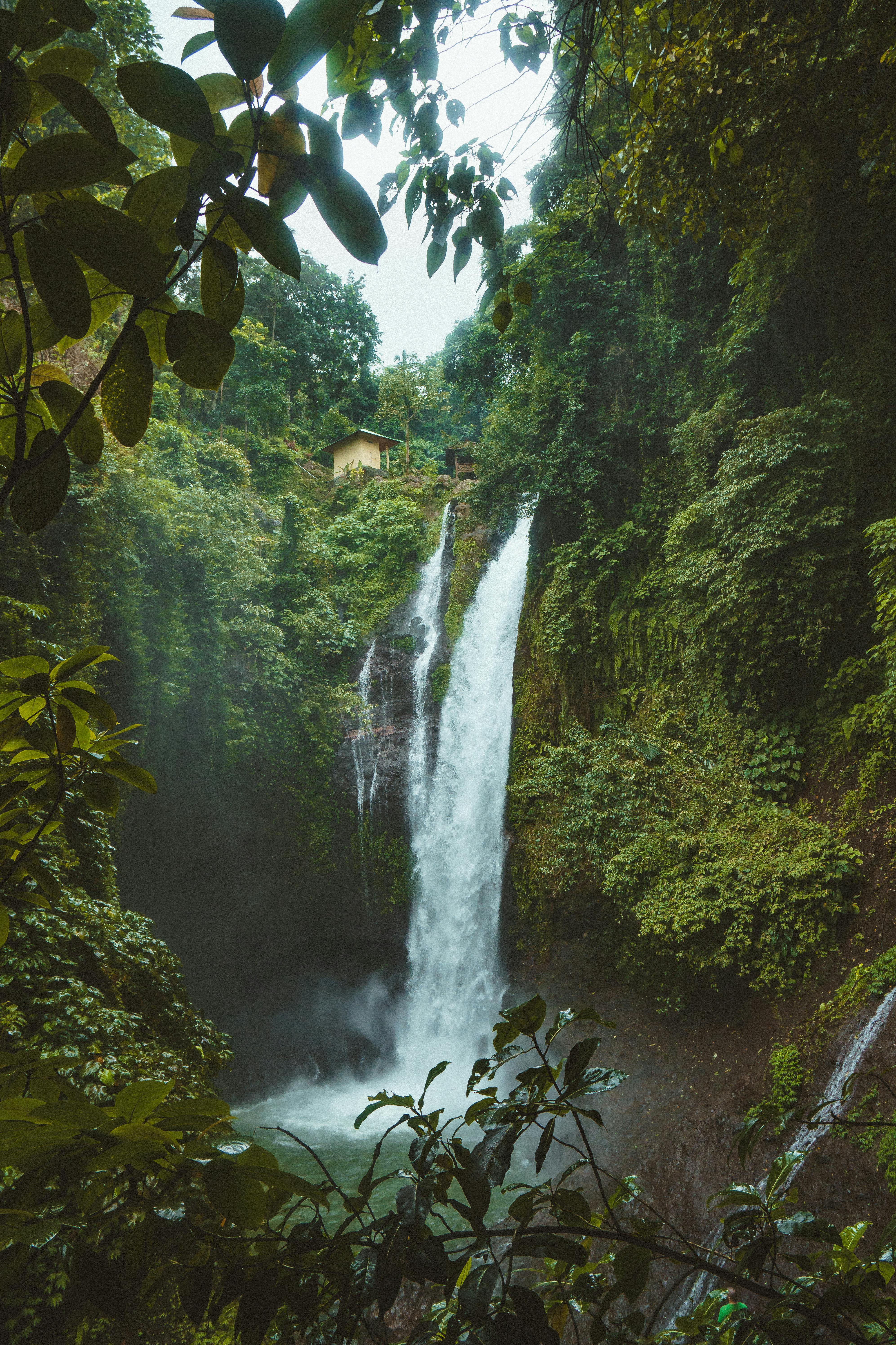 Fondo de Pantalla de pexels_931007.jpg