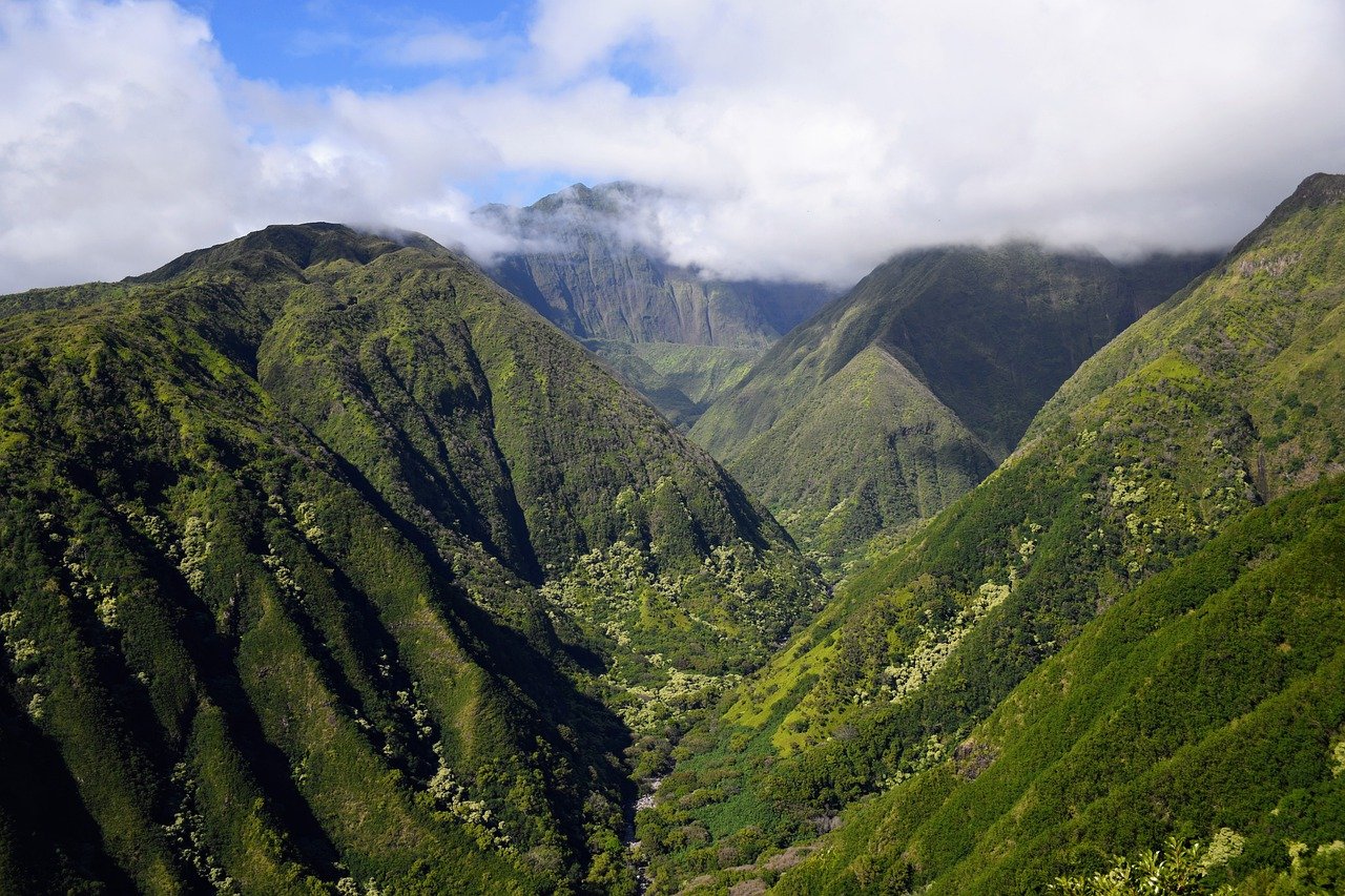 Fondo de Pantalla de pixabay_7939056.jpg