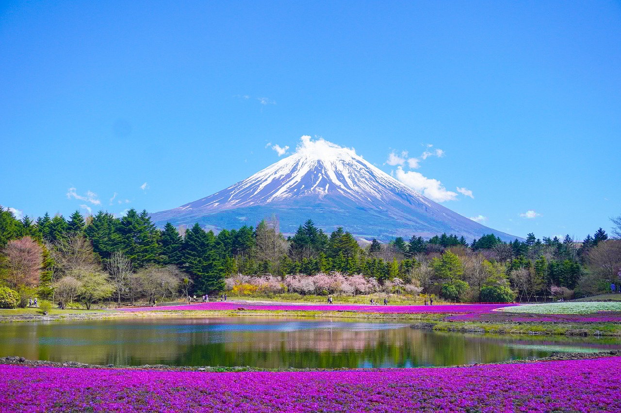 Fondo de Pantalla de pixabay_8010752.jpg
