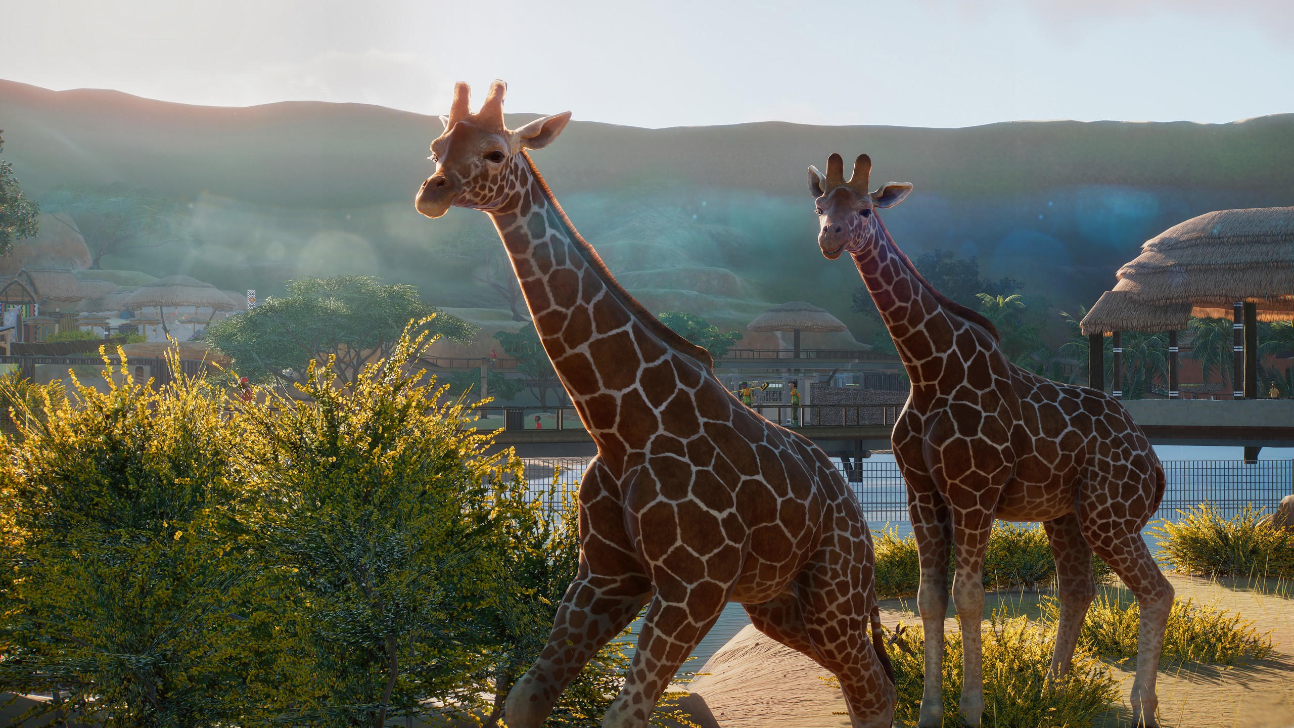 Planet zoo 2560x1440 e3 2019 screenshot 4k