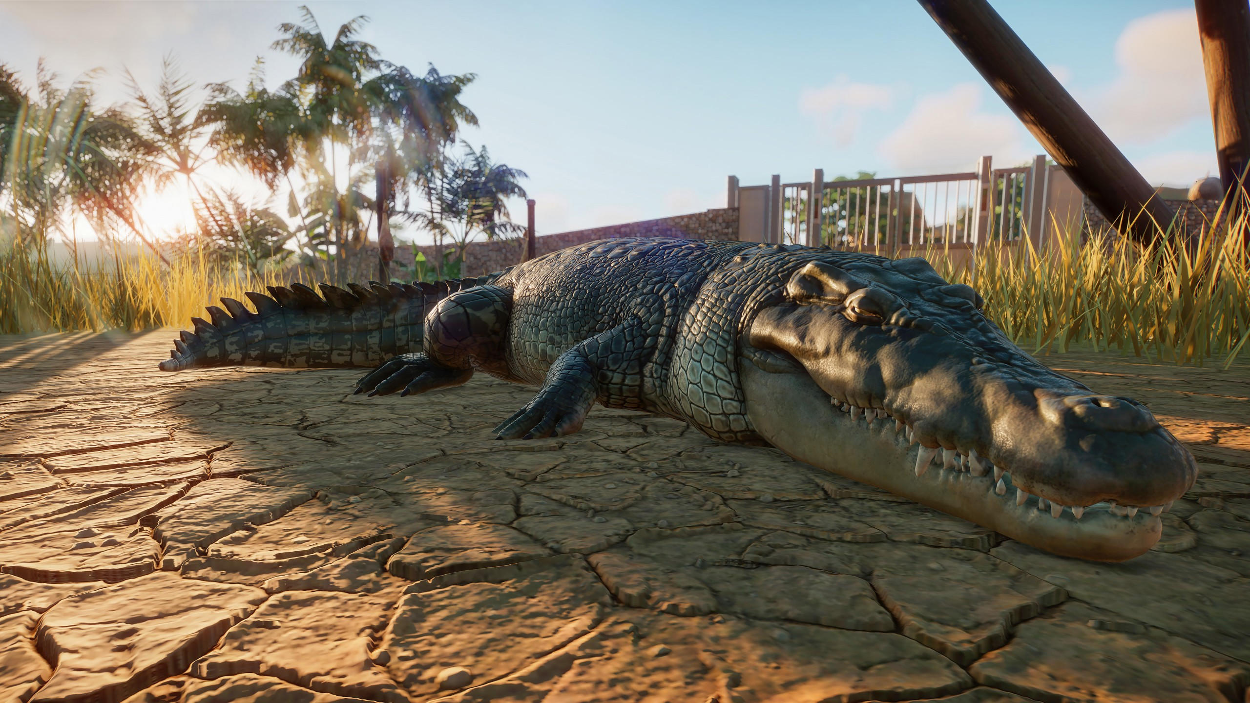 Planet zoo 2560x1440 e3 2019 screenshot 4k