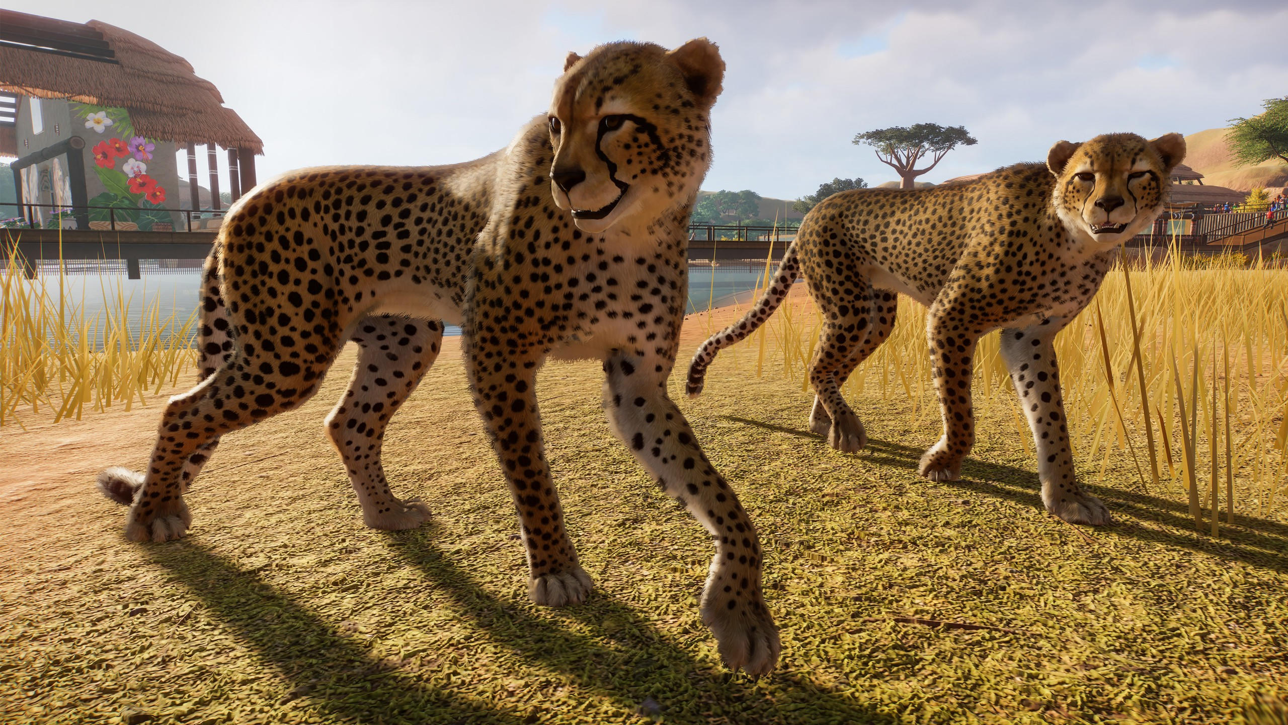 Planet zoo 2560x1440 e3 2019 screenshot 4k