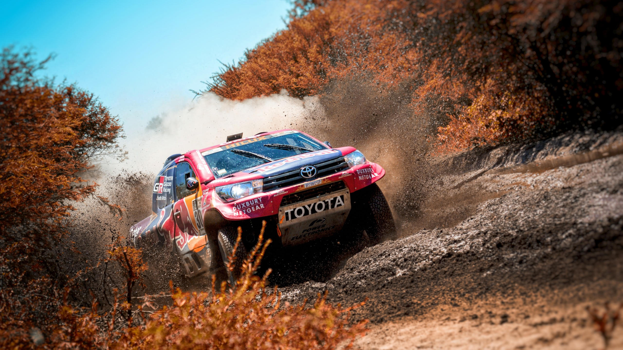 Rally 2560x1440 sand forest 4k