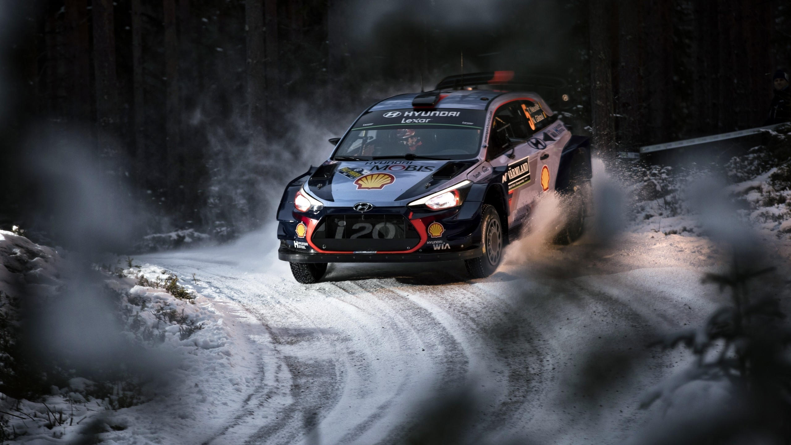 Rally 2560x1440 winter snow 6k