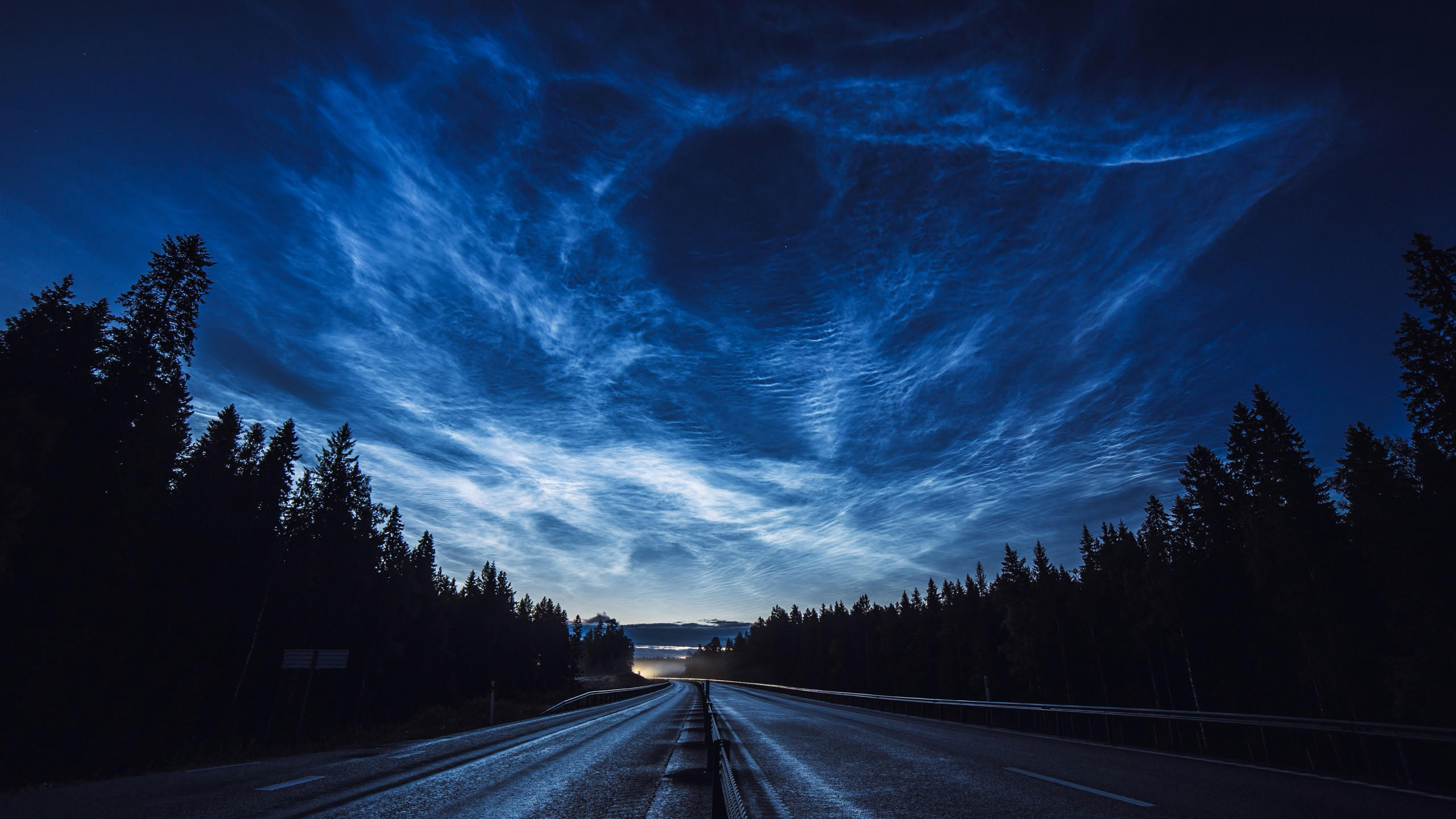 Road 2560x1440 night forest sky 4k