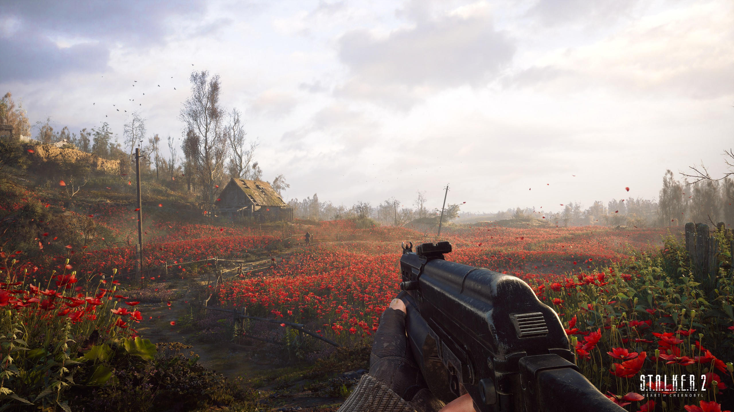 S t a l k e r 2 2560x1440 screenshot 4k