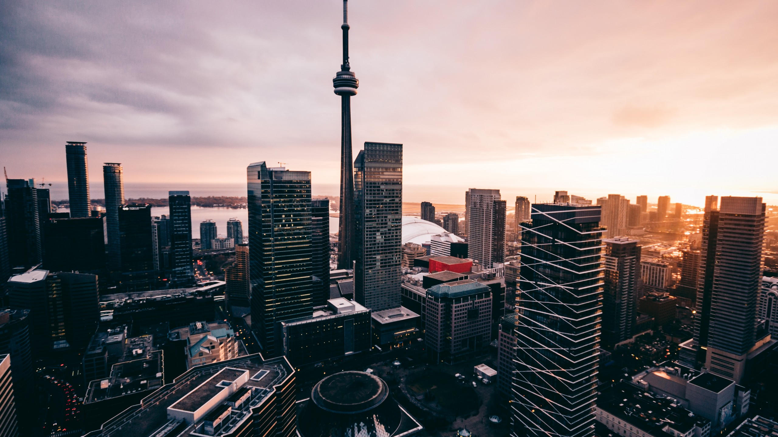 Skyscraper 2560x1440 cityscape 5k