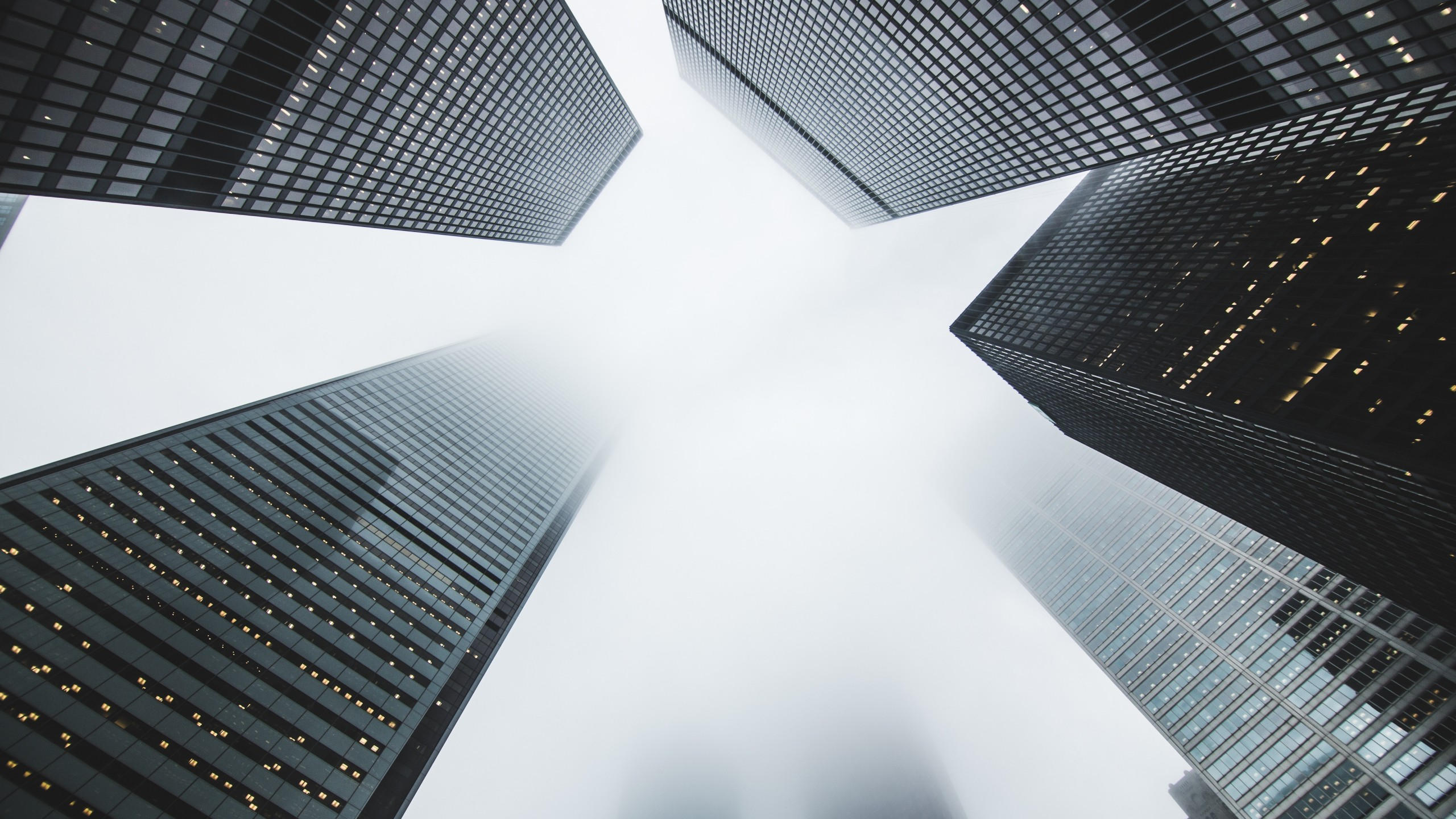 Skyscraper 2560x1440 cityscape 5k