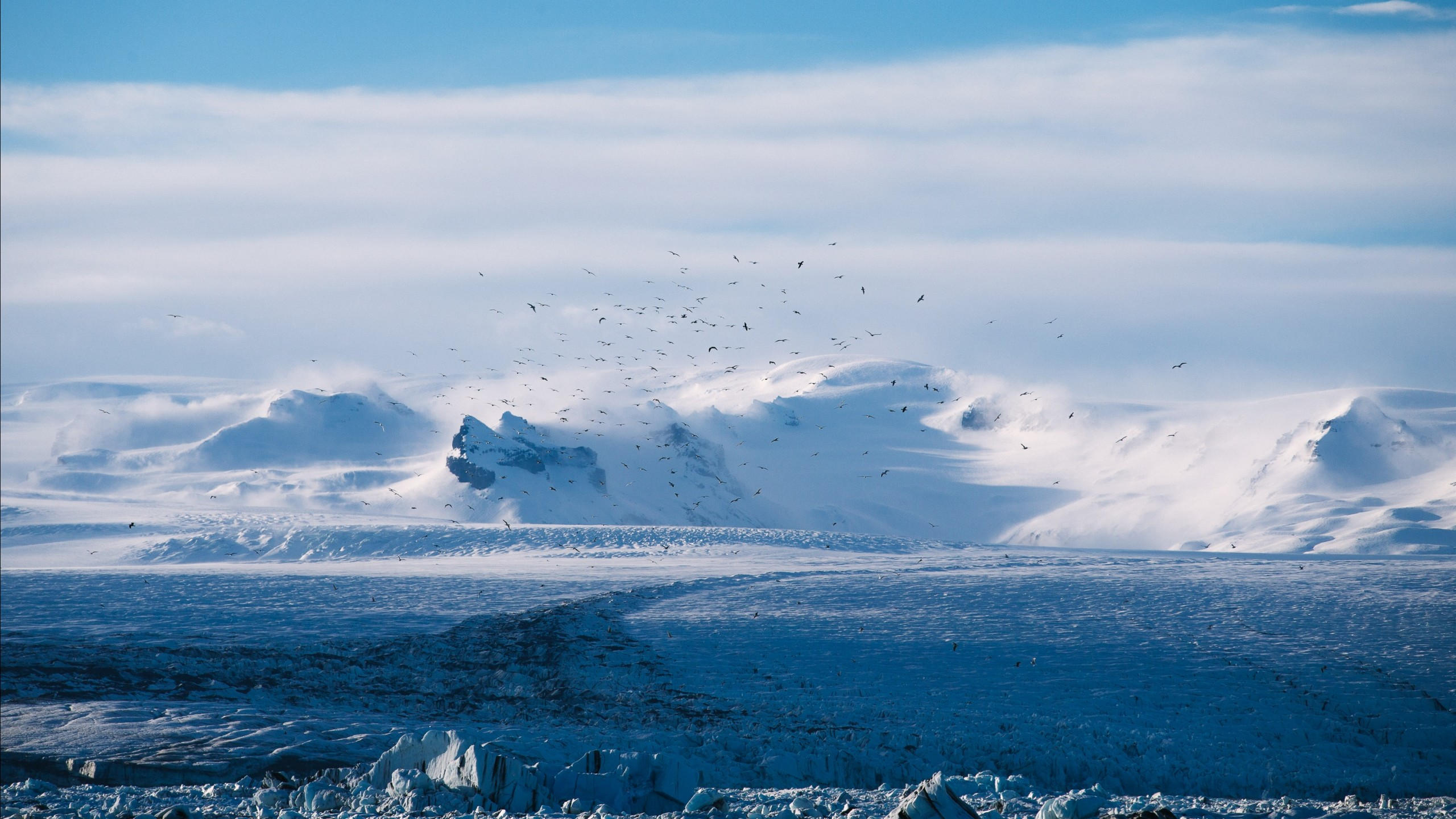 Snow 2560x1440 4k hd wallpaper ice winter