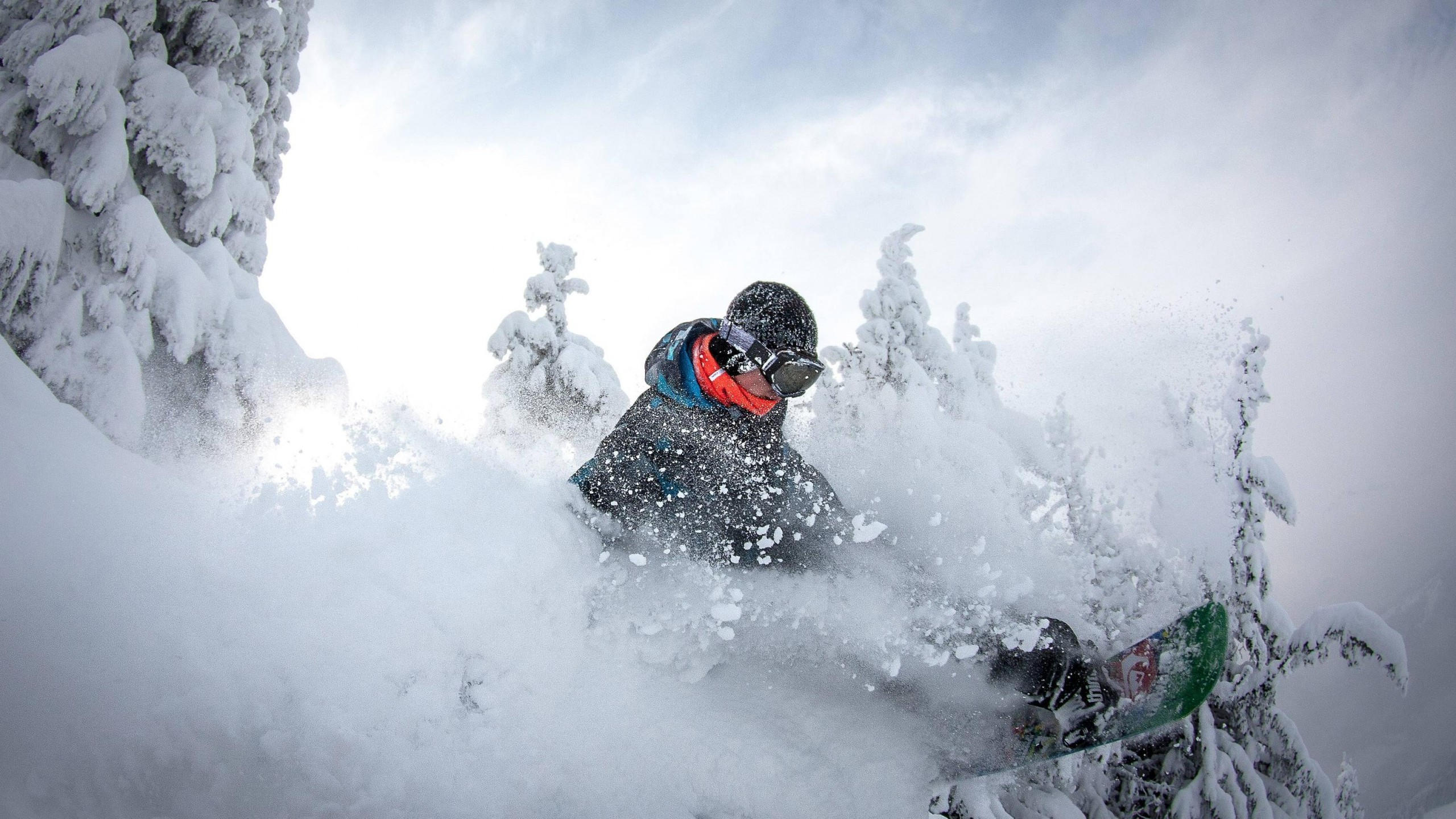 Snow 2560x1440 snowboard winter