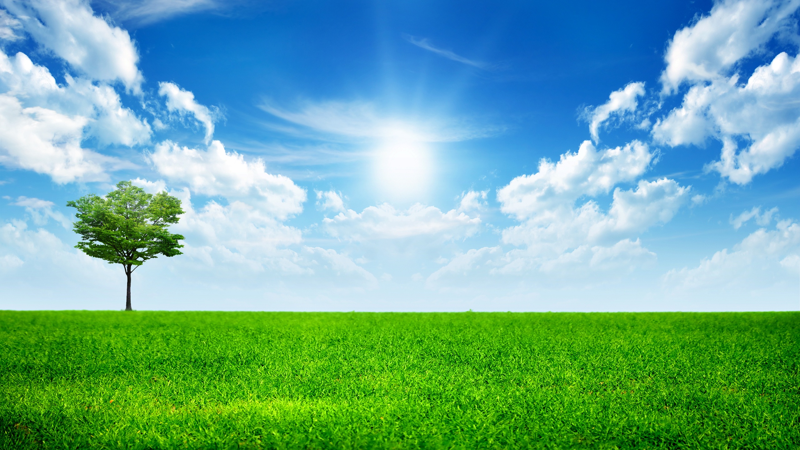 Sunny bright day