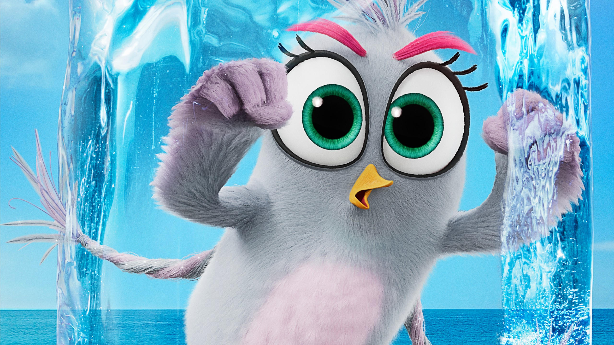 The angry birds movie 2 2560x1440 poster 5k