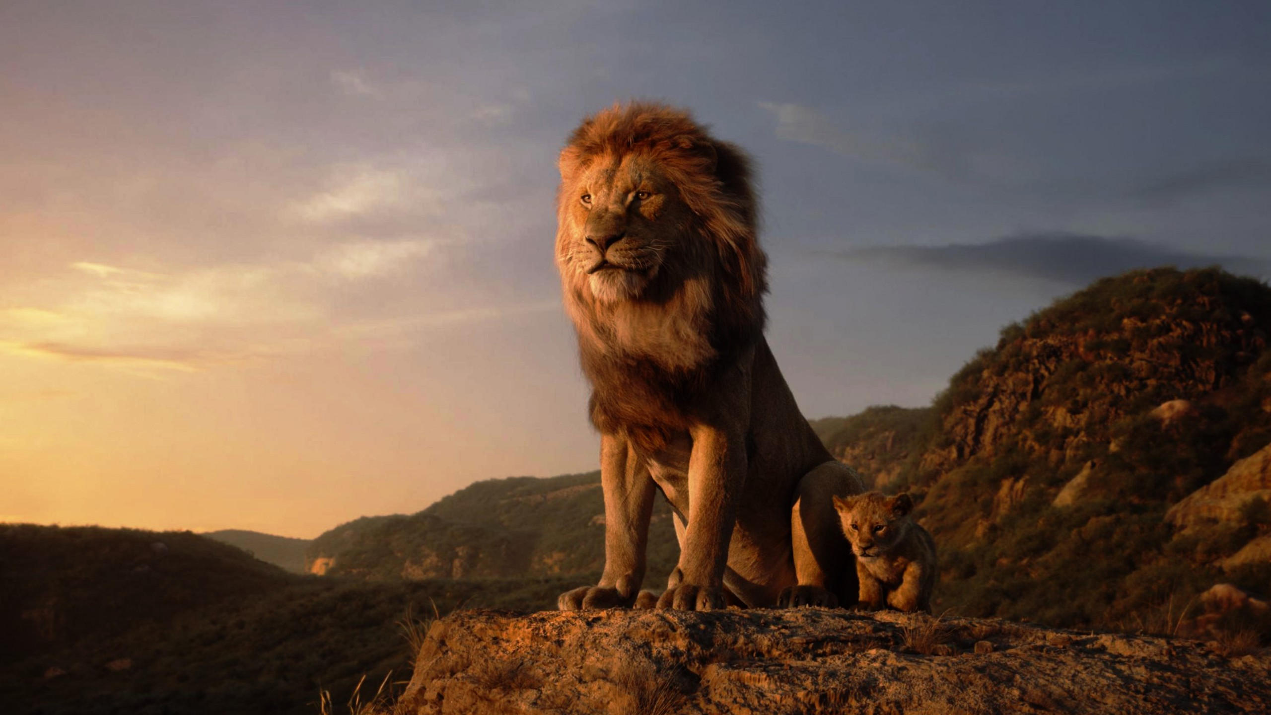 The lion king 2560x1440 hd