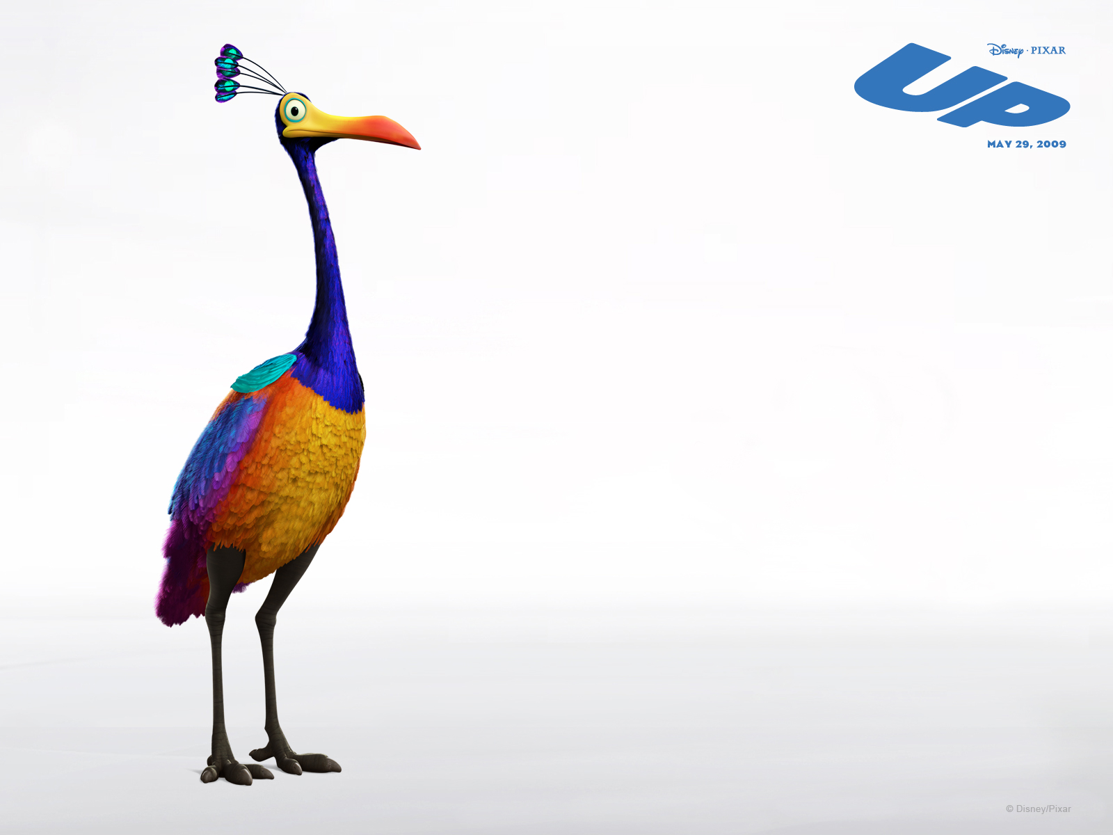 UP