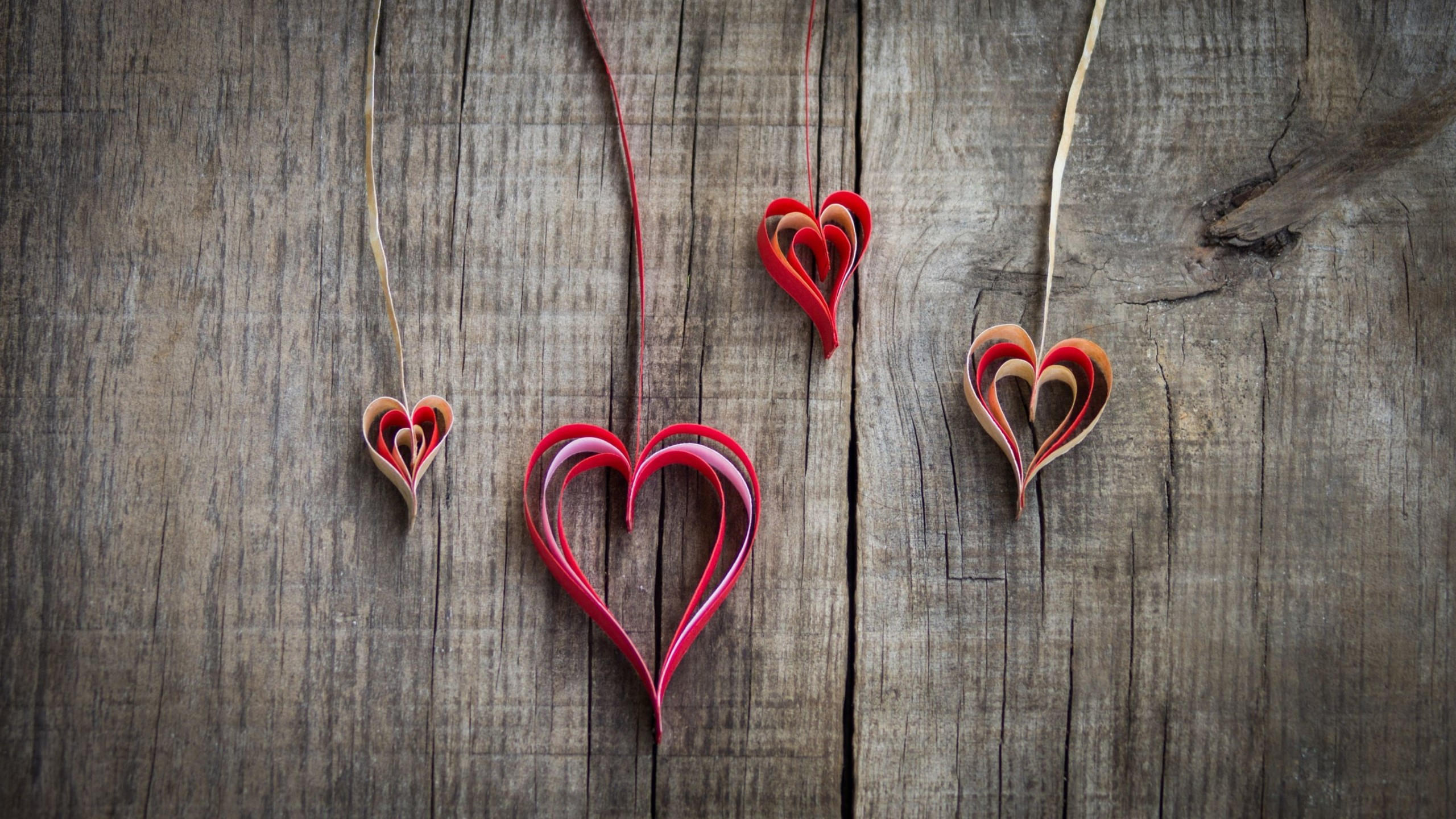 Valentine 039 s day 2560x1440 valentines day love image hearts 4k