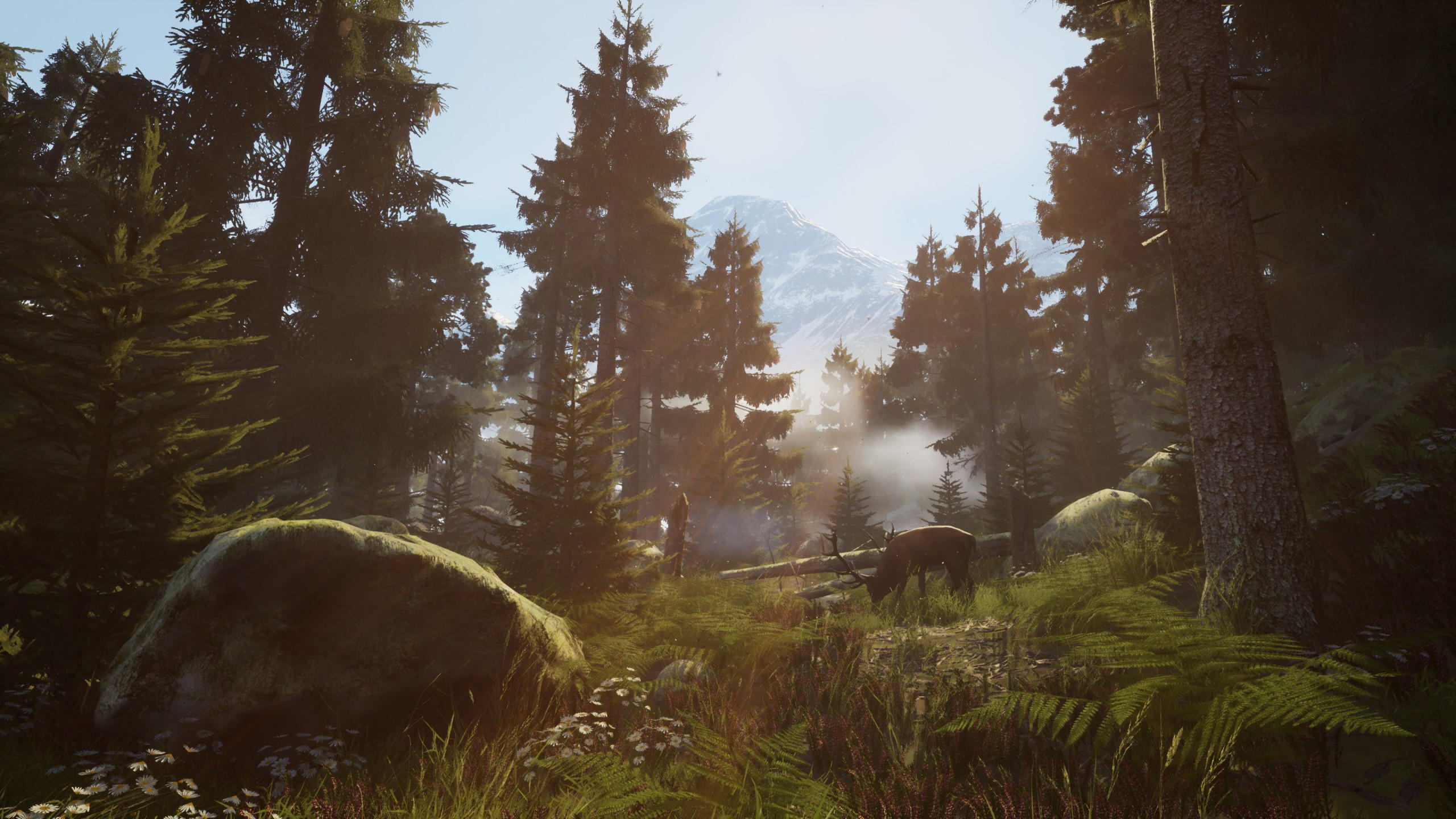 Vigor 2560x1440 screenshot 4k