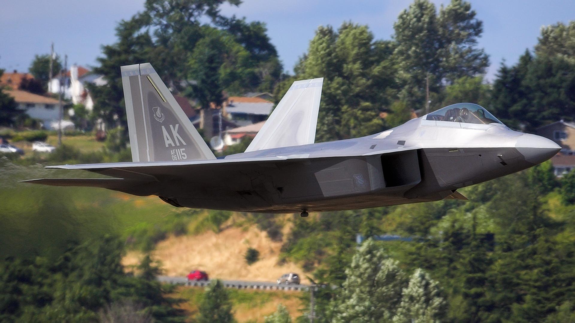 A City Raptor