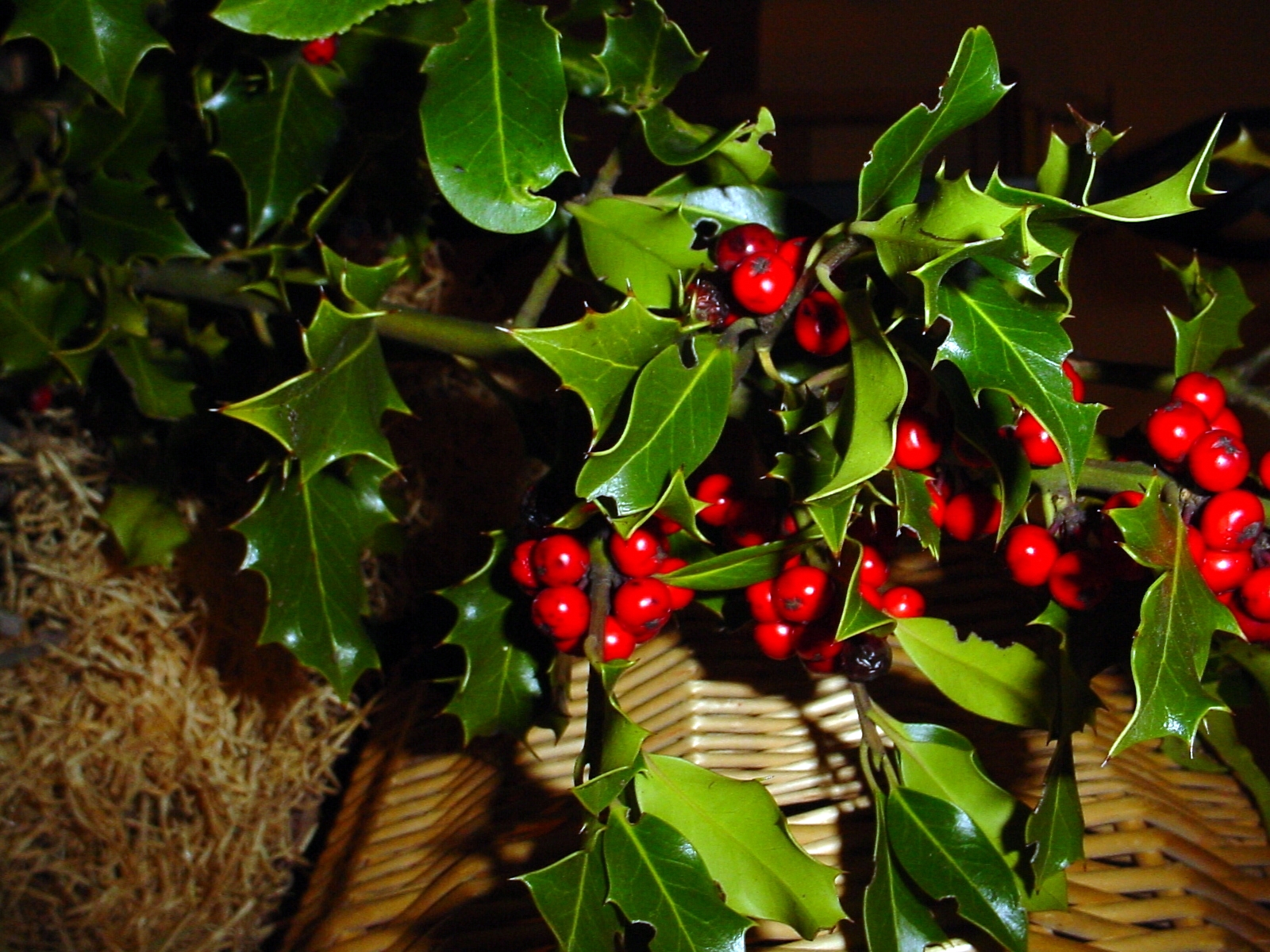 Adorno de navidad rama de acebo