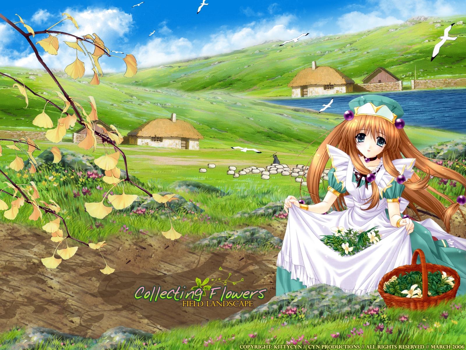 Aoi Kimizuka Collecting Flowers