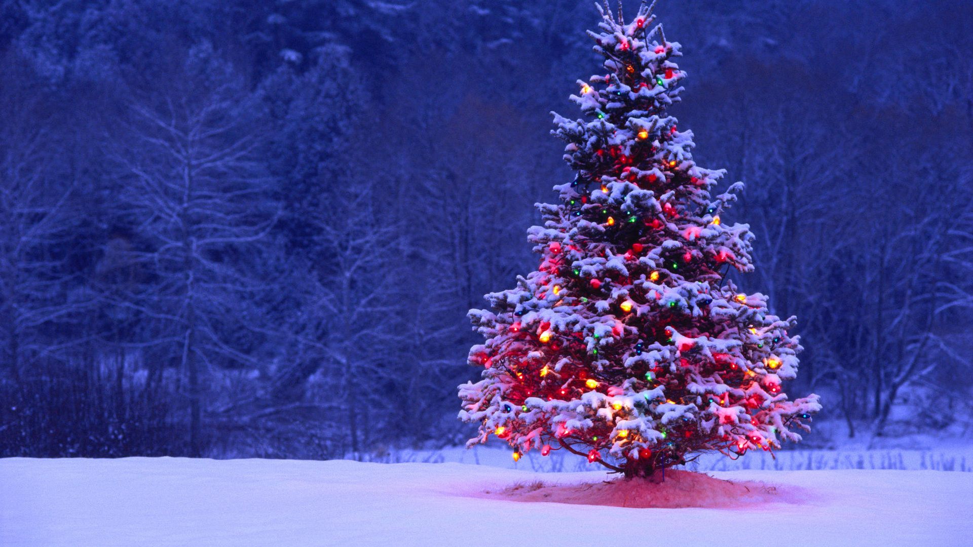 Arbol de navidad alumbrado en la nieve