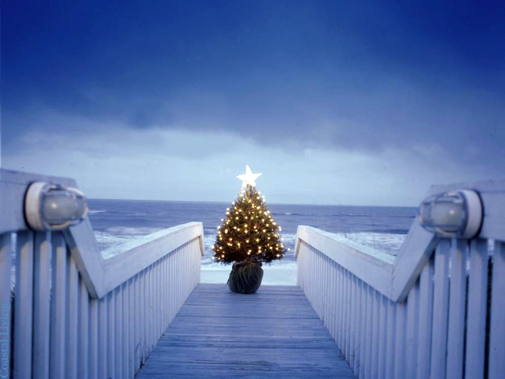Arbol de navidad en la playa